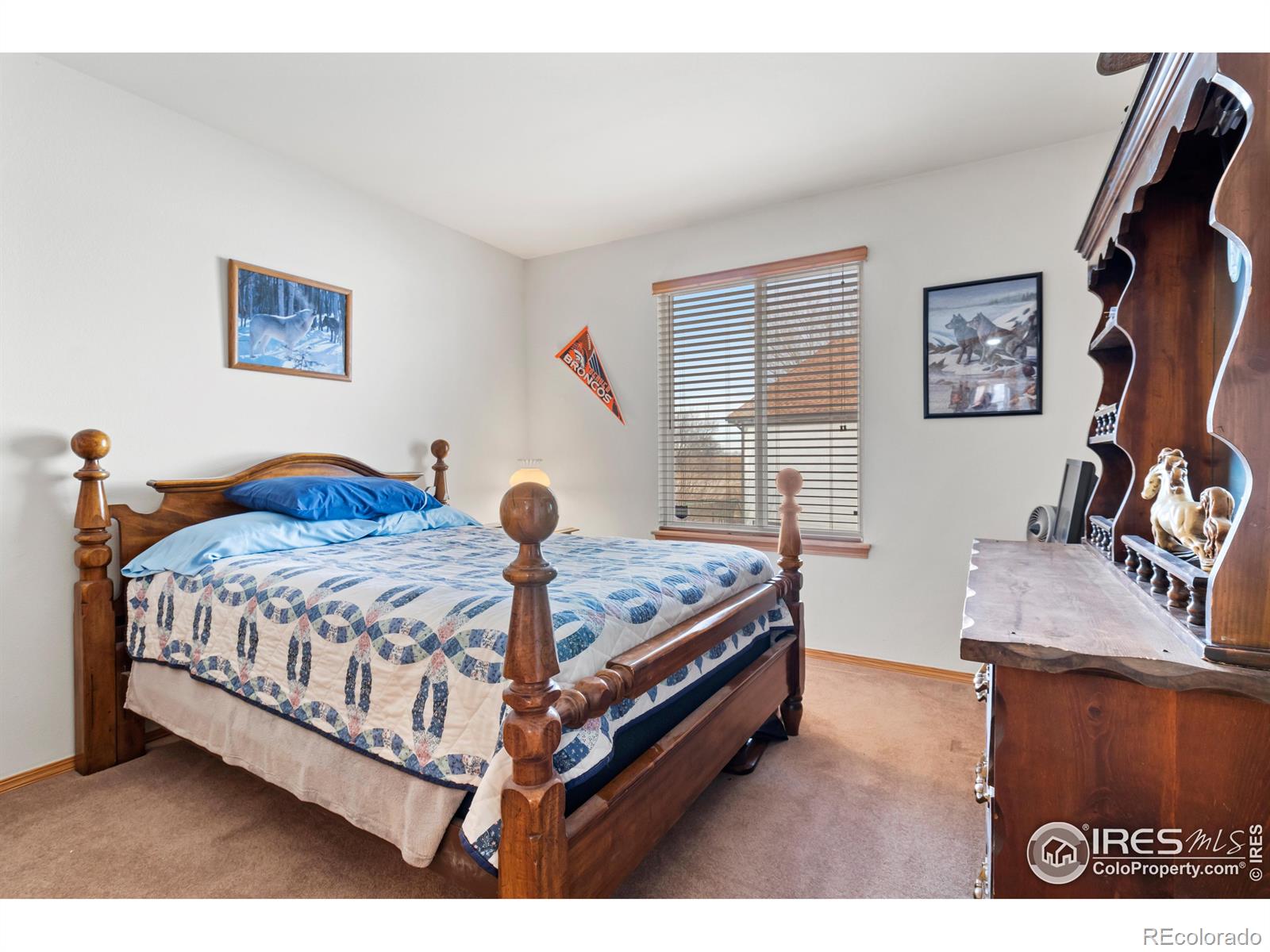 MLS Image #17 for 10353  dahlia street,firestone, Colorado