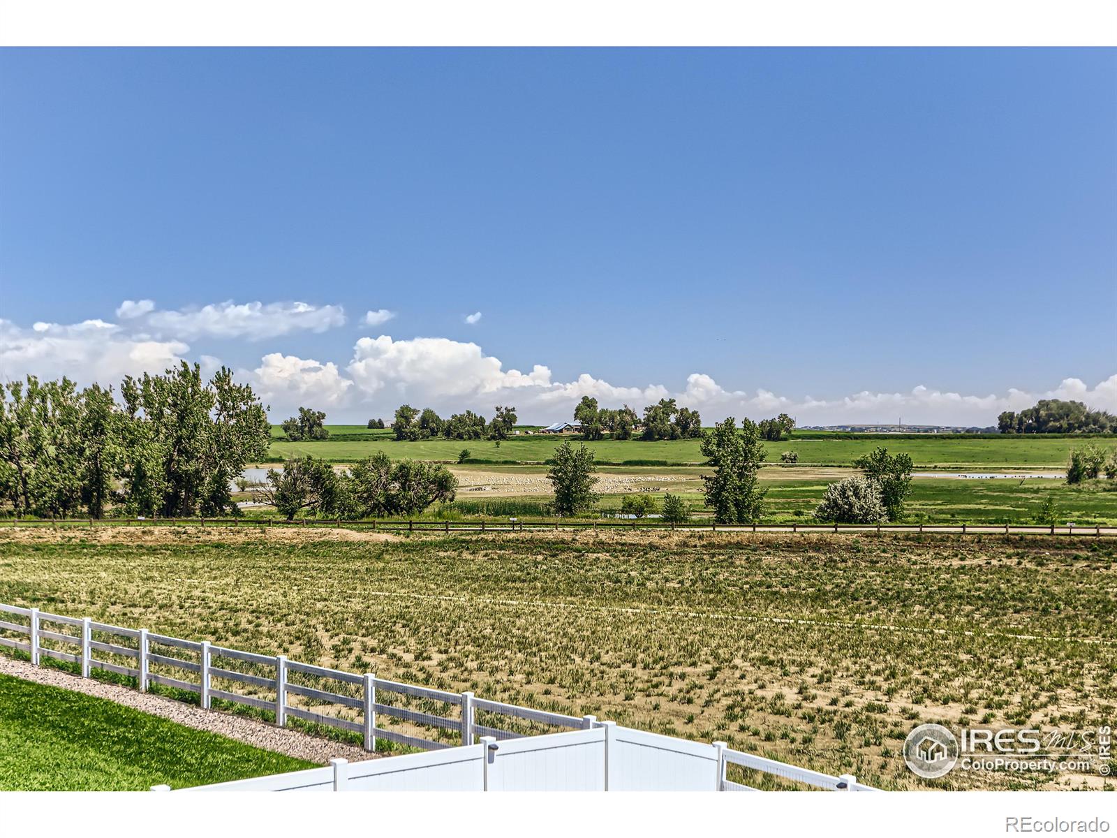 MLS Image #23 for 1706  vista point drive,windsor, Colorado