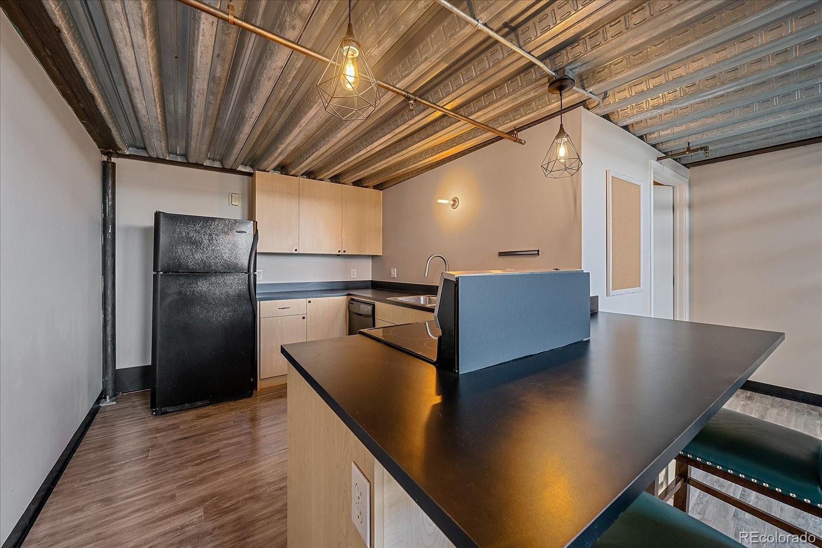 MLS Image #8 for 1111  osage street,denver, Colorado