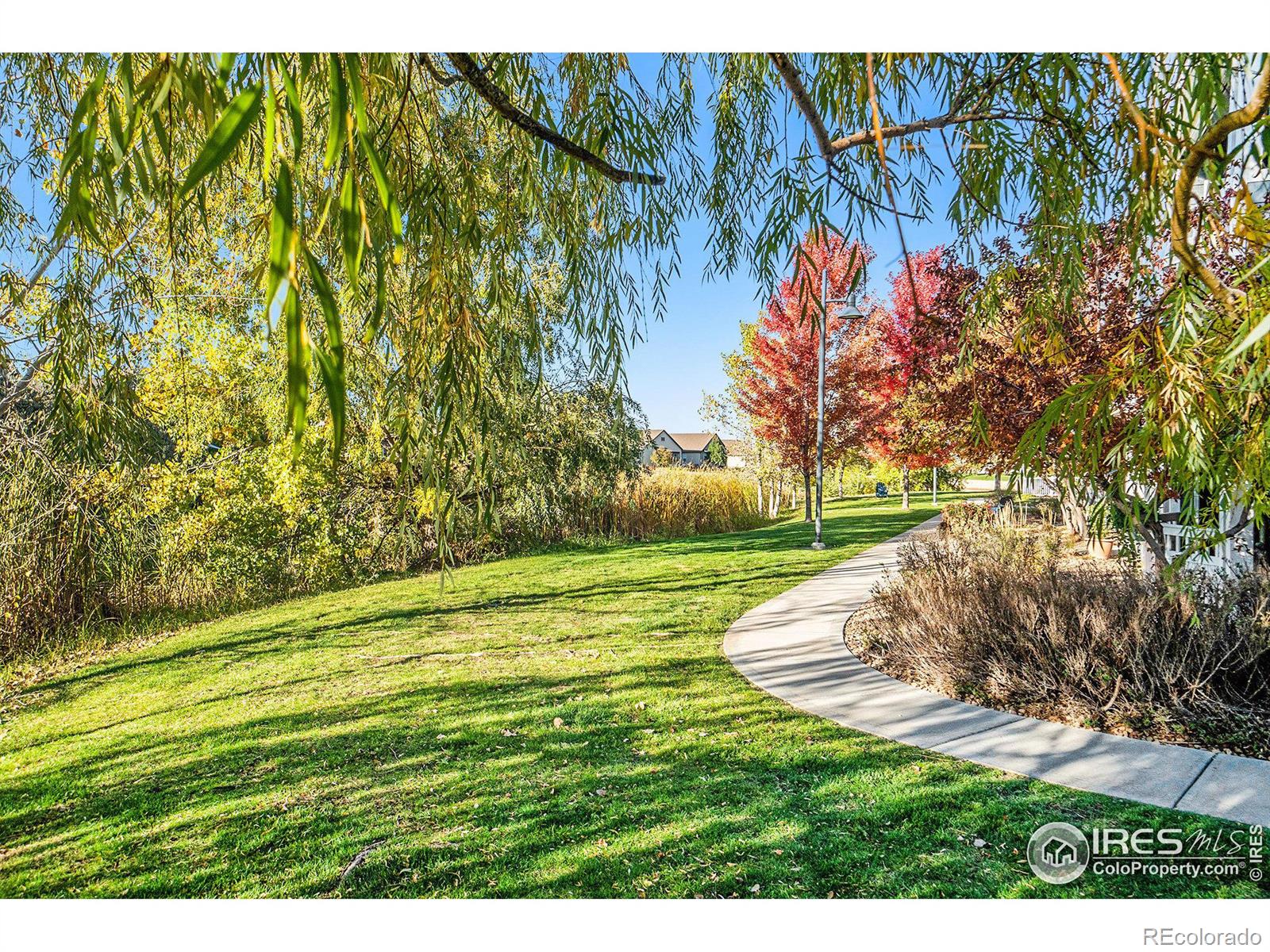 MLS Image #24 for 2064  cape hatteras drive,windsor, Colorado