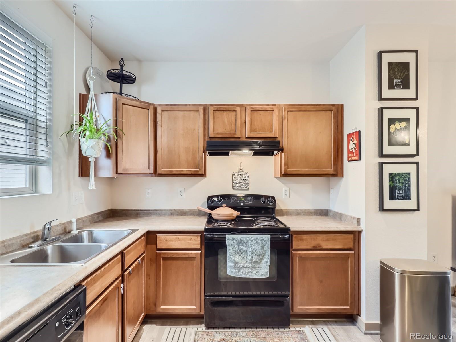 MLS Image #10 for 10582 e 29th drive,denver, Colorado