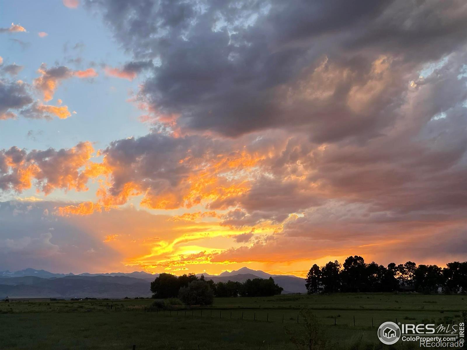 MLS Image #17 for 1300  gypsum way,erie, Colorado