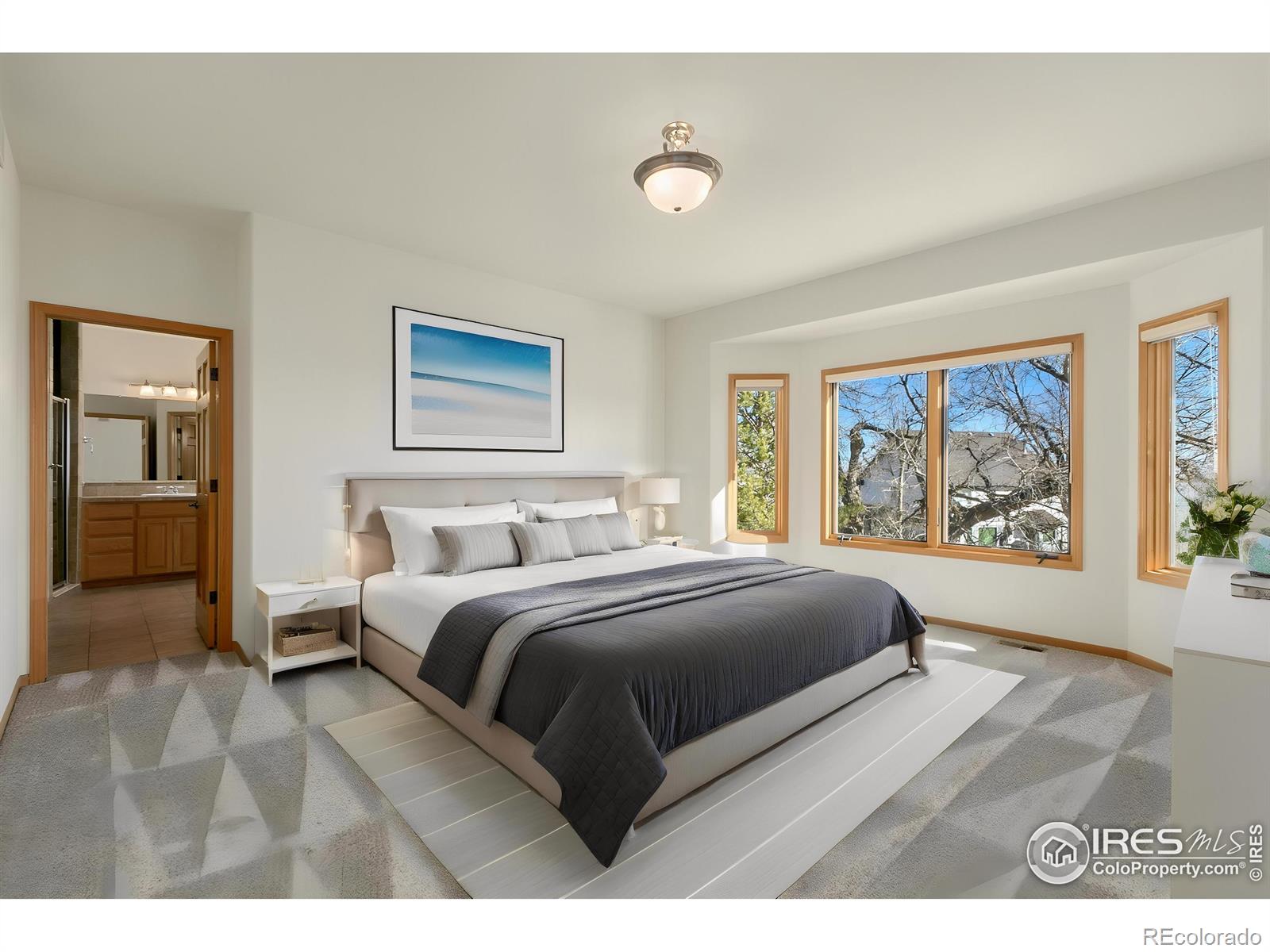 MLS Image #13 for 742  laurel hill court,loveland, Colorado