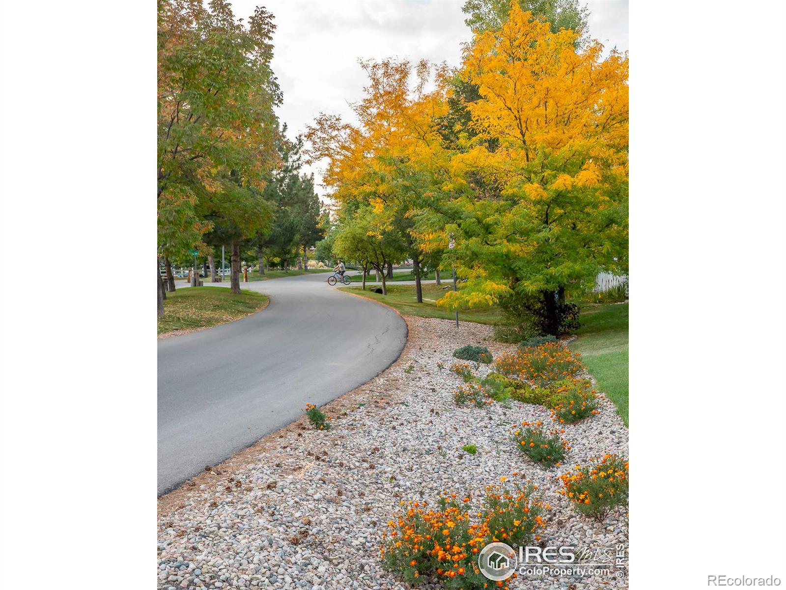 MLS Image #39 for 742  laurel hill court,loveland, Colorado