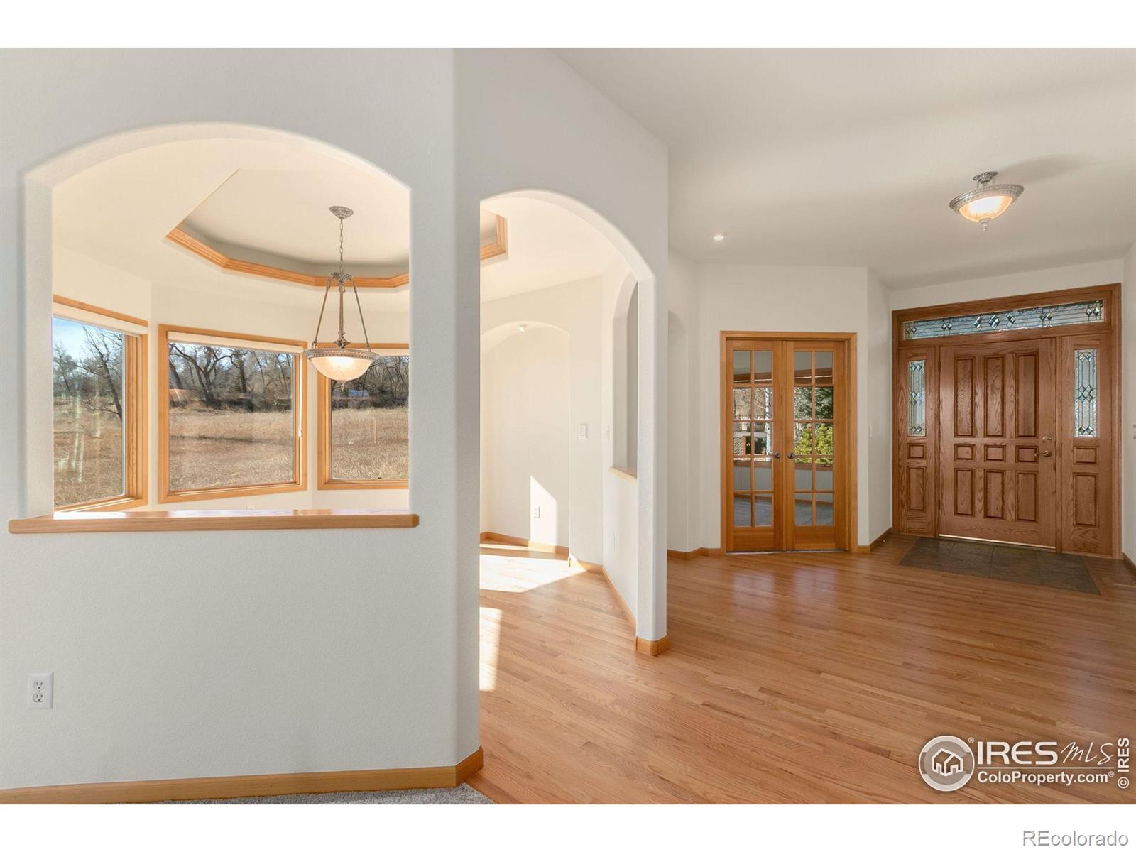 MLS Image #6 for 742  laurel hill court,loveland, Colorado