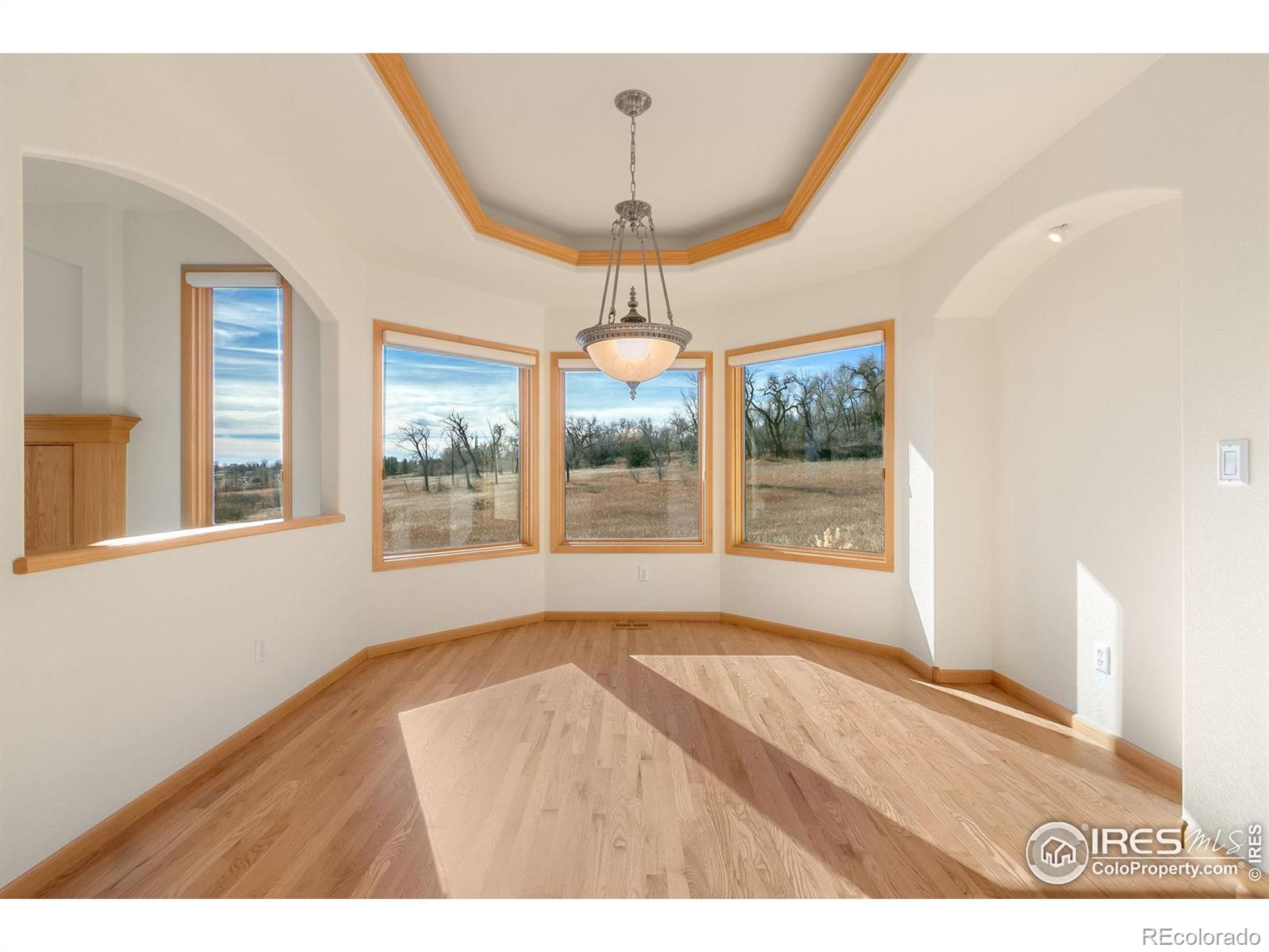 MLS Image #8 for 742  laurel hill court,loveland, Colorado