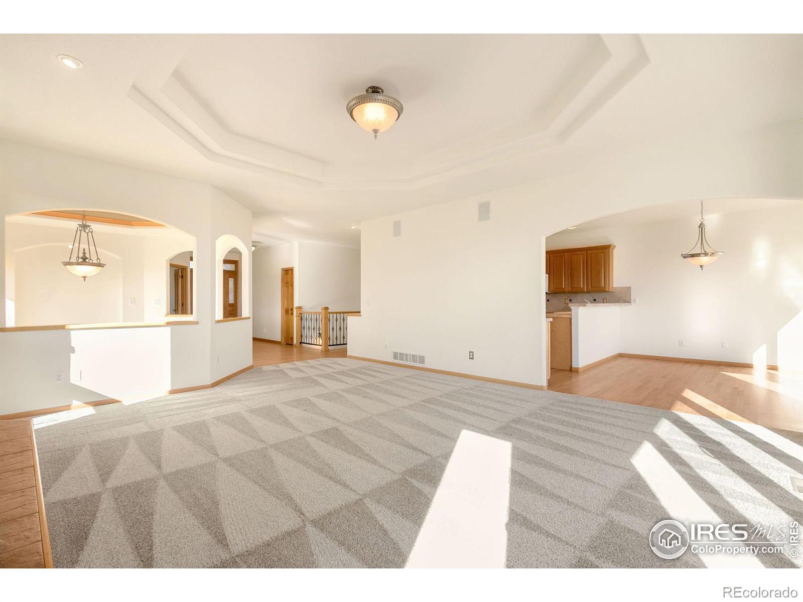 MLS Image #9 for 742  laurel hill court,loveland, Colorado