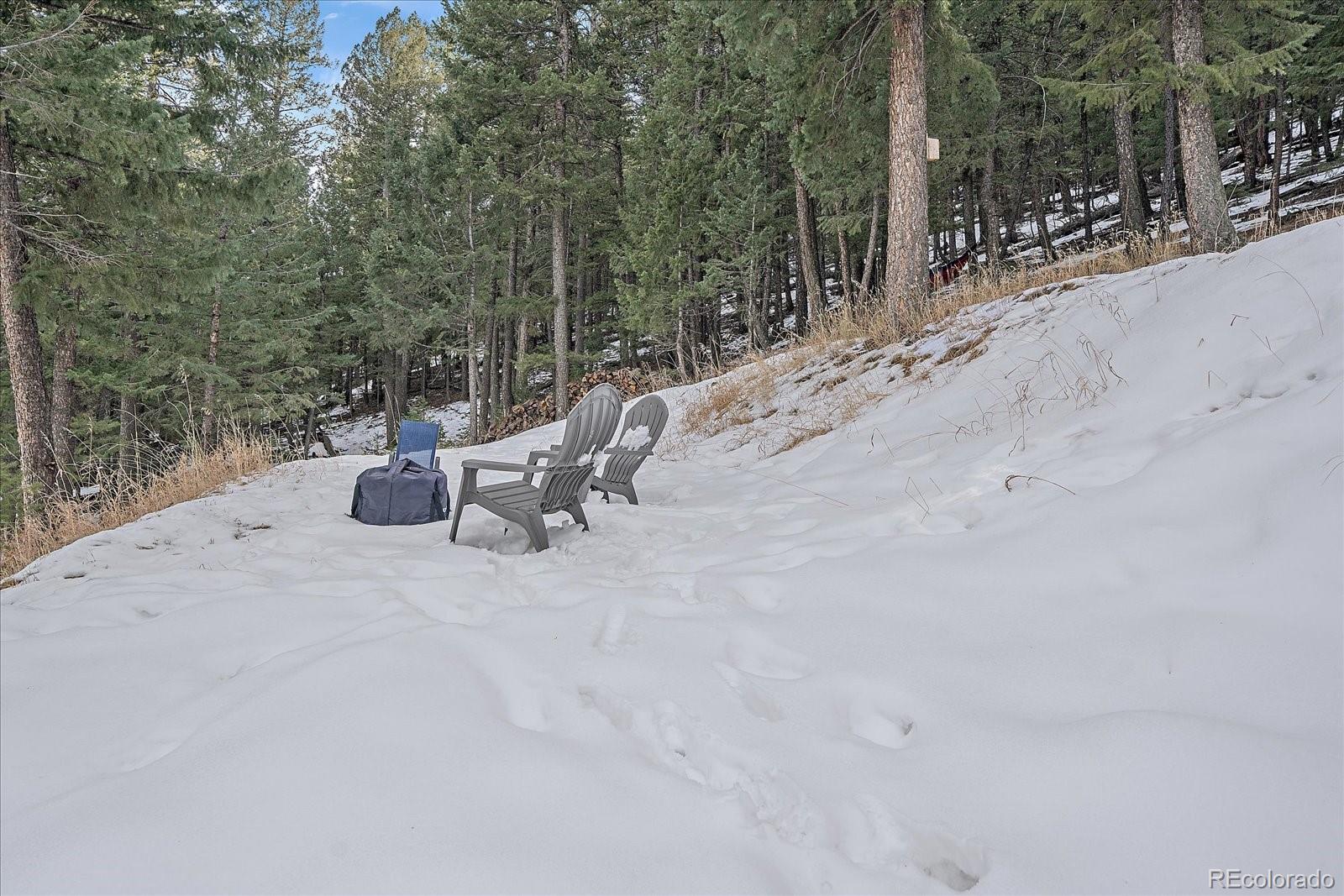 MLS Image #39 for 30162  pine crest drive,evergreen, Colorado