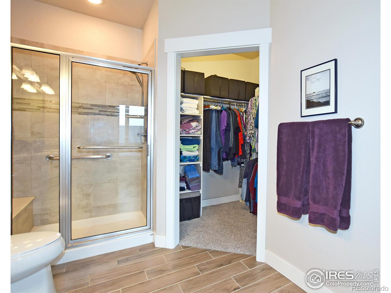 MLS Image #15 for 2751  iowa drive,fort collins, Colorado