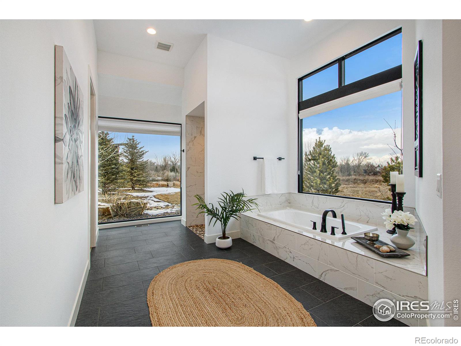 MLS Image #21 for 3002  broadwing road,fort collins, Colorado