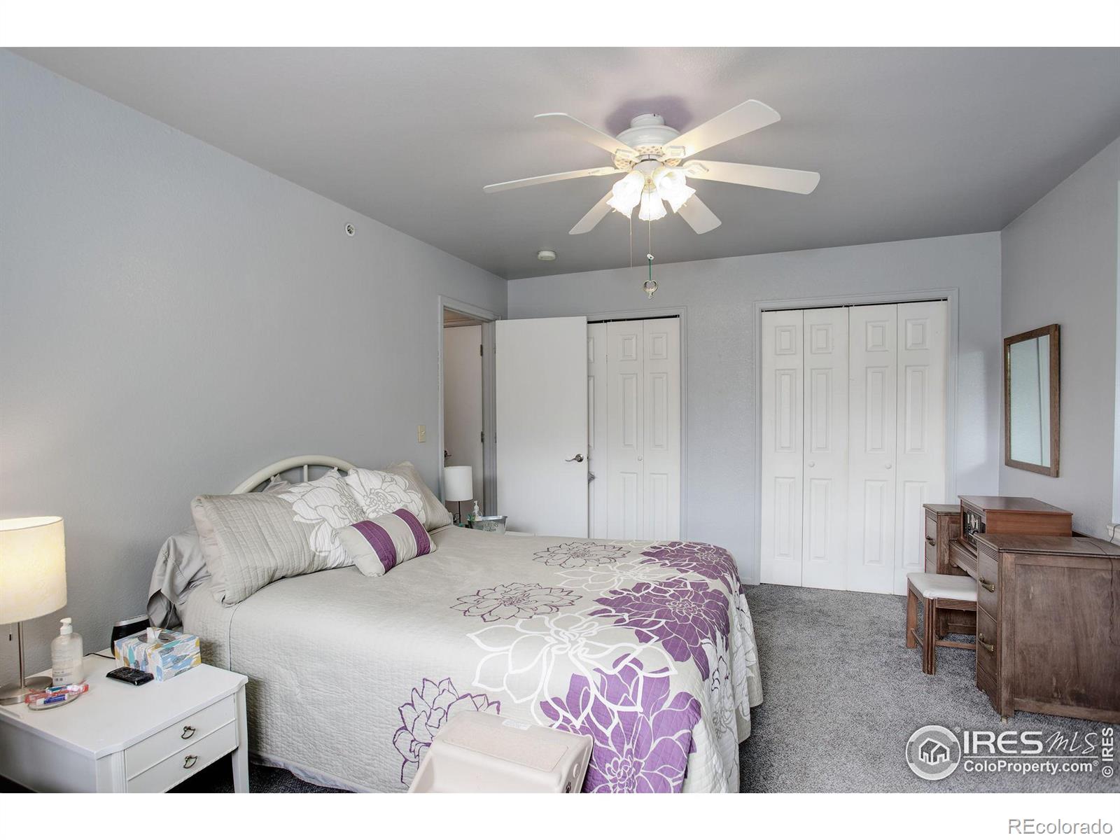 MLS Image #14 for 208  dean circle,loveland, Colorado