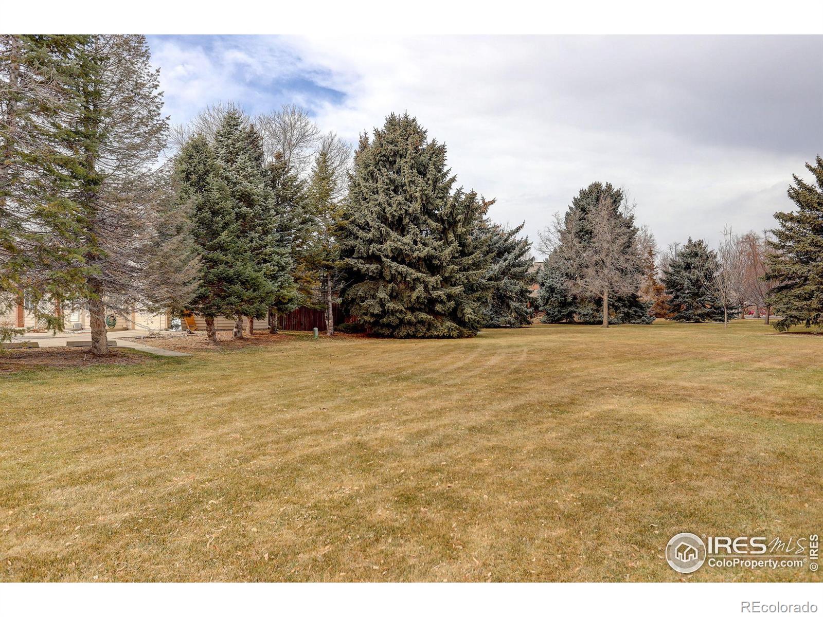 MLS Image #26 for 208  dean circle,loveland, Colorado