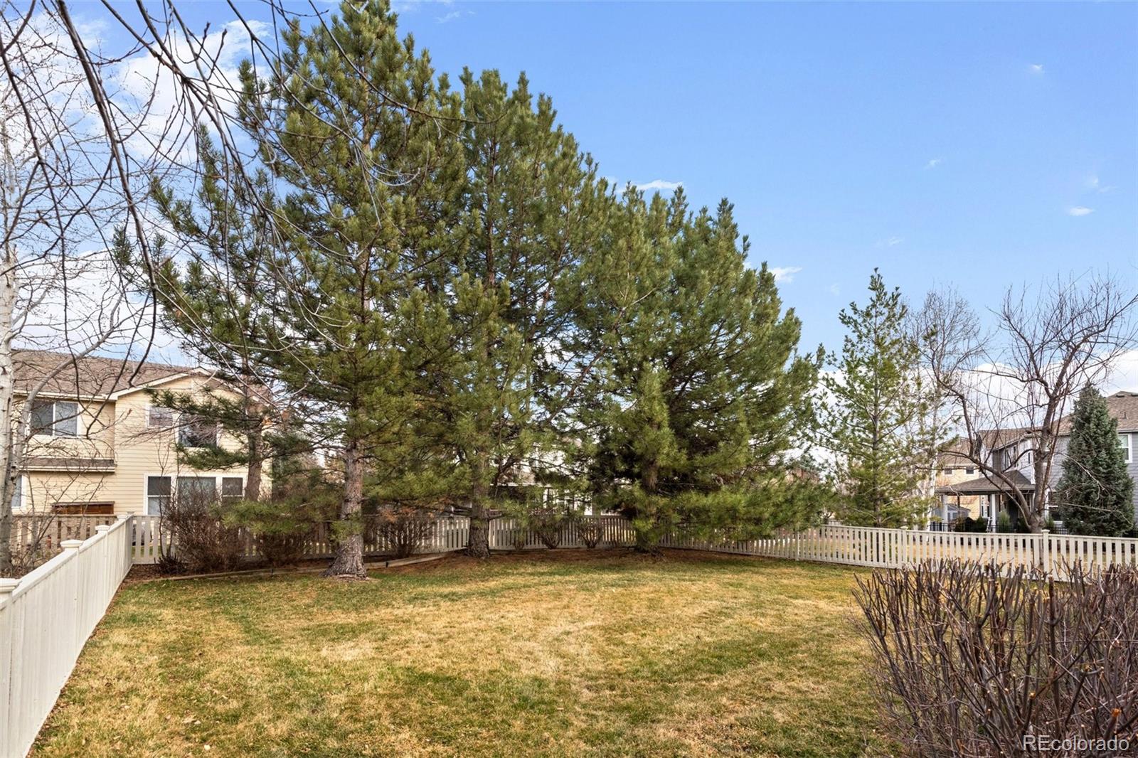 MLS Image #42 for 6259  devinney circle,arvada, Colorado