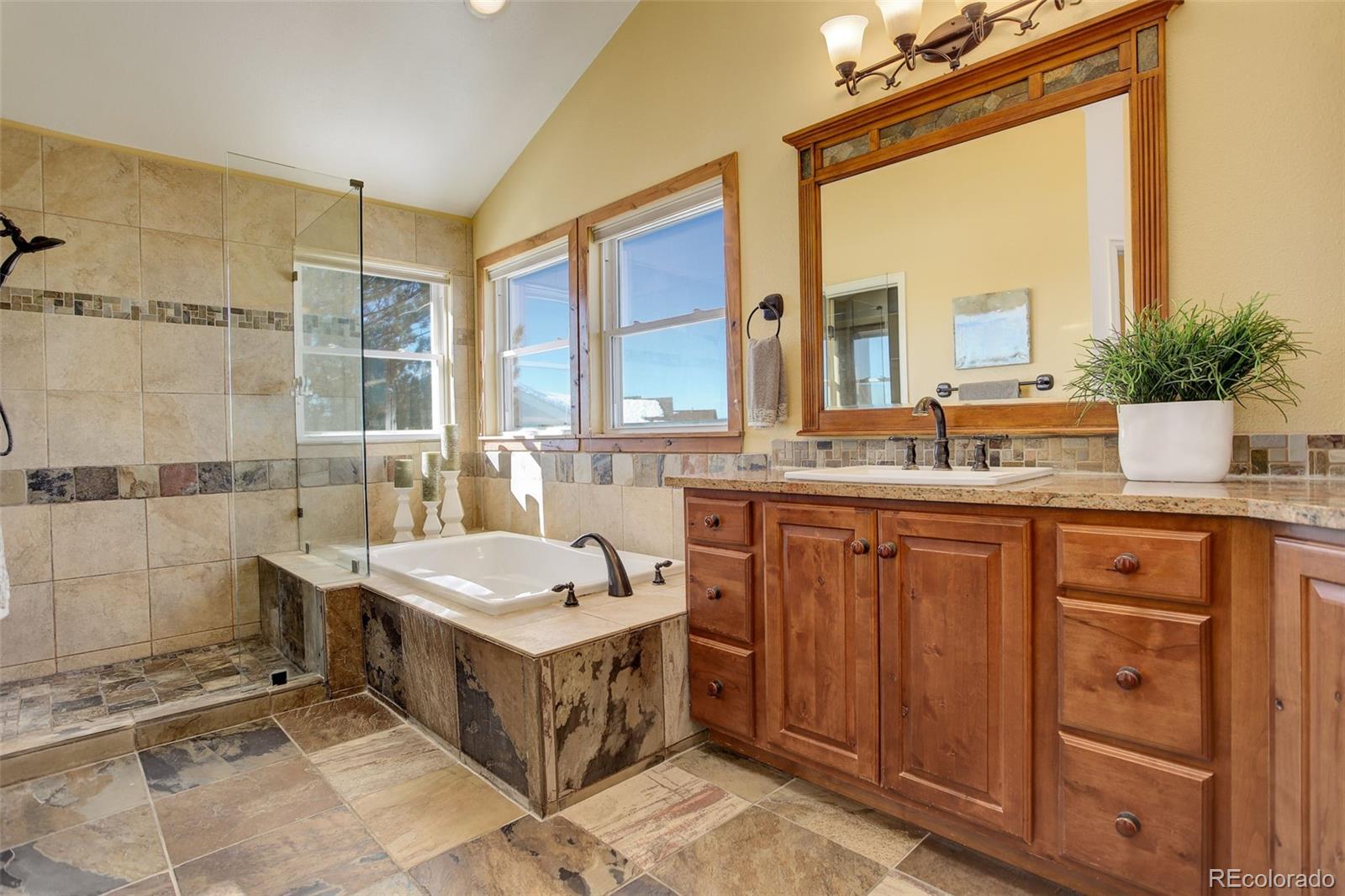 MLS Image #26 for 9489  chesapeake street,highlands ranch, Colorado