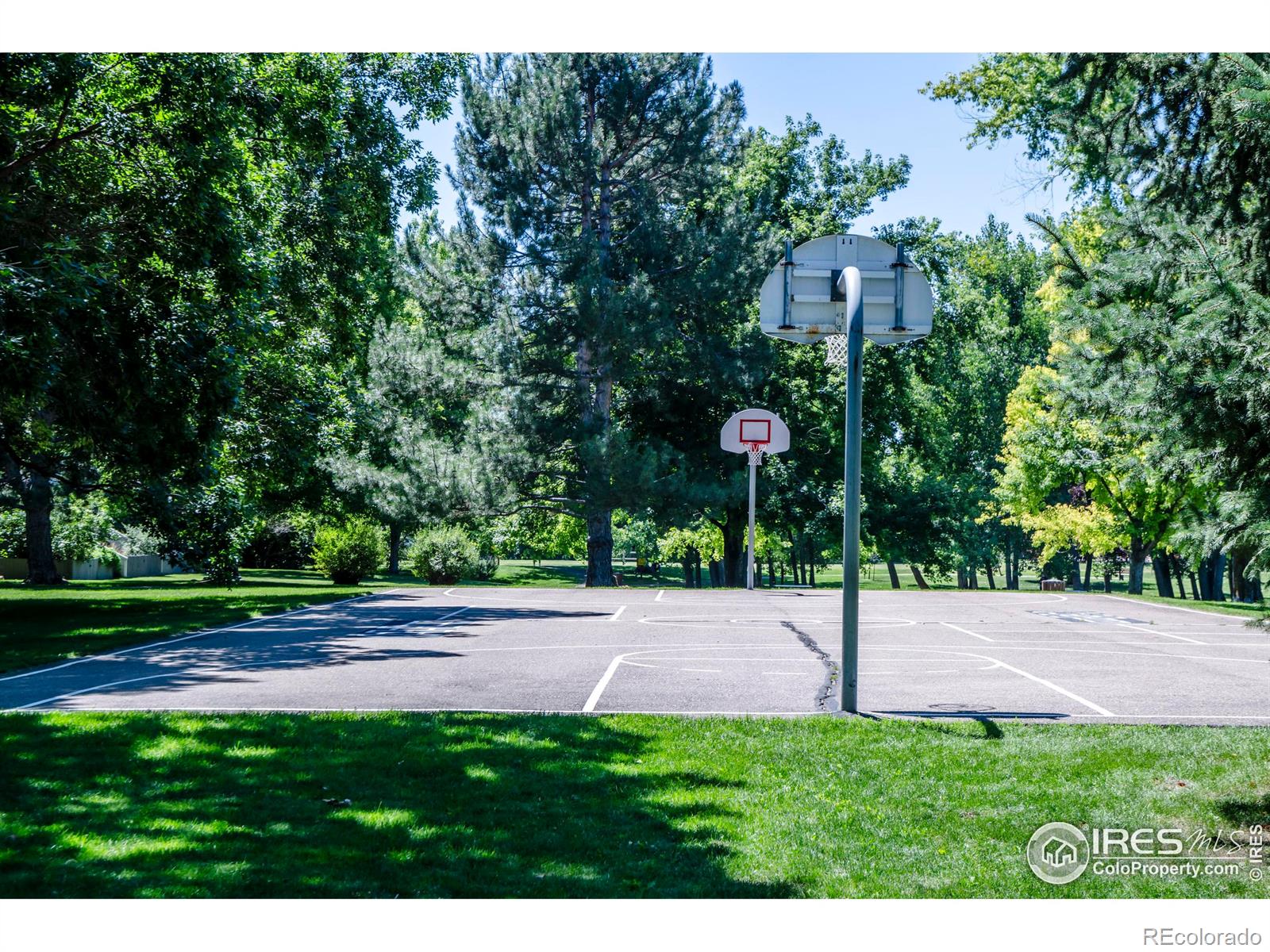 MLS Image #35 for 6223  willow lane,boulder, Colorado