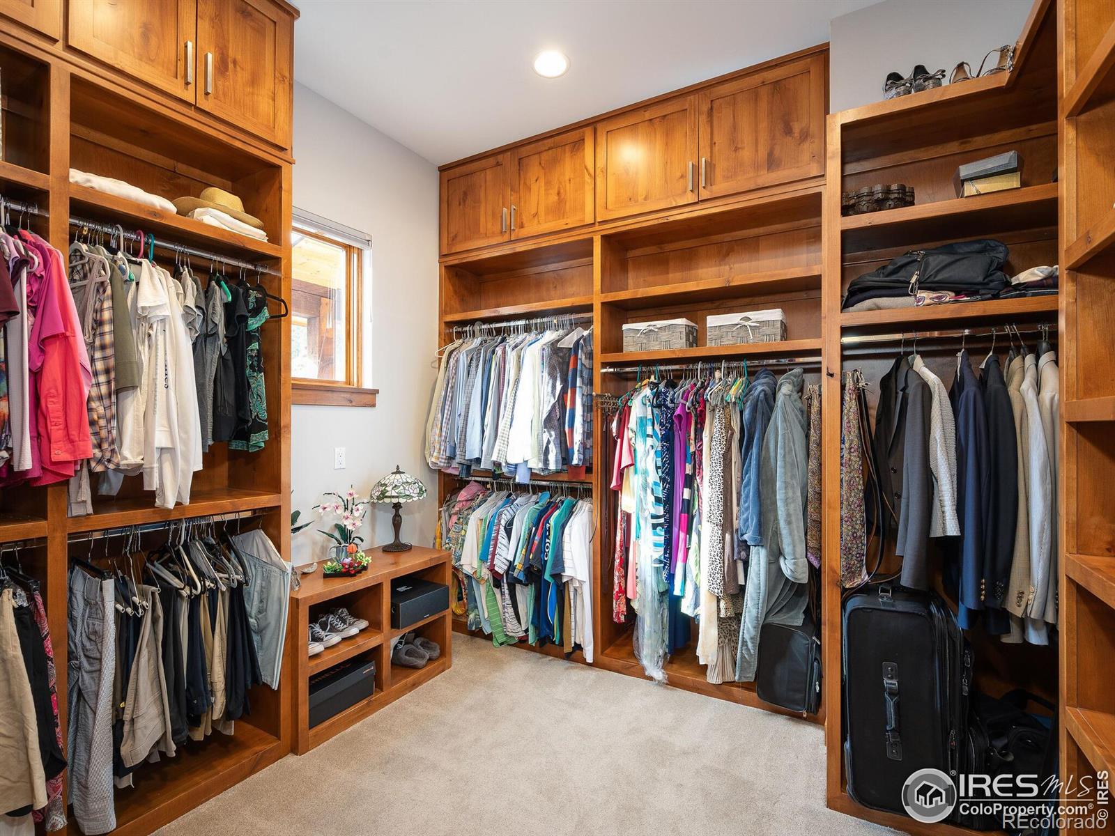 MLS Image #19 for 6056  stone creek drive,evergreen, Colorado