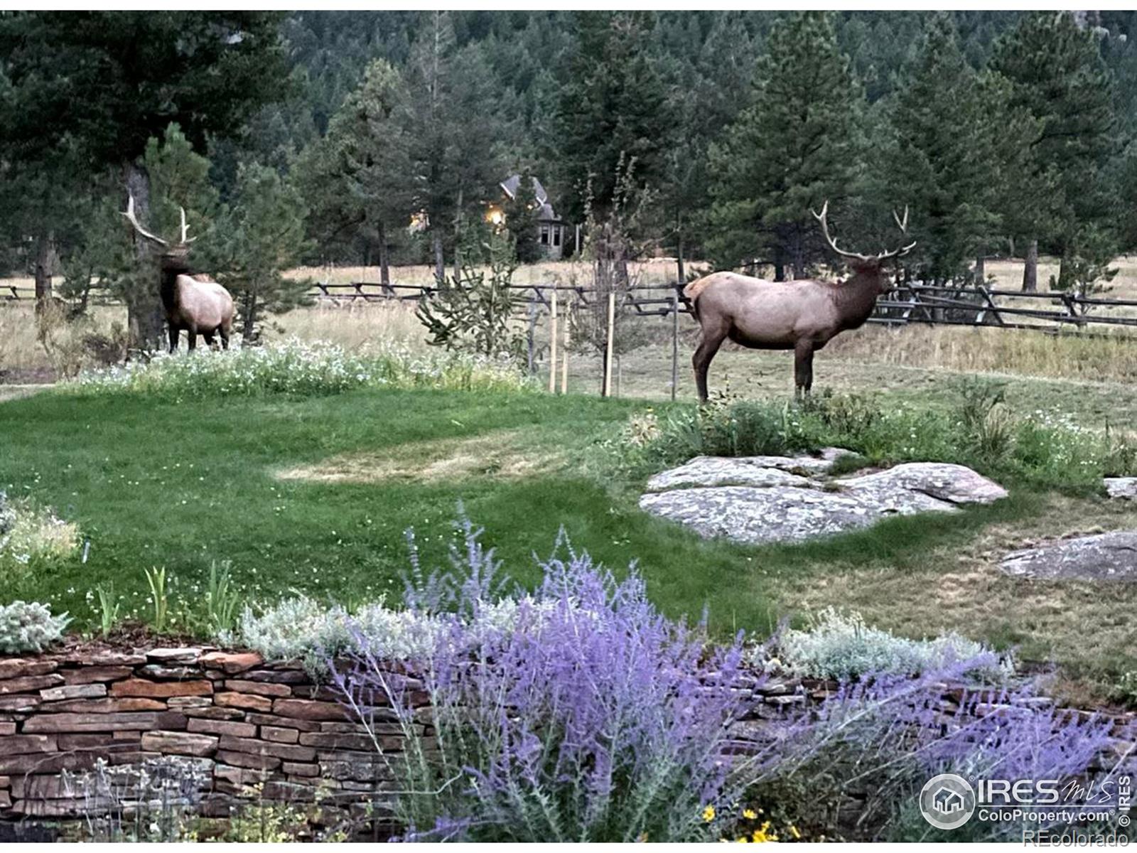 MLS Image #38 for 6056  stone creek drive,evergreen, Colorado
