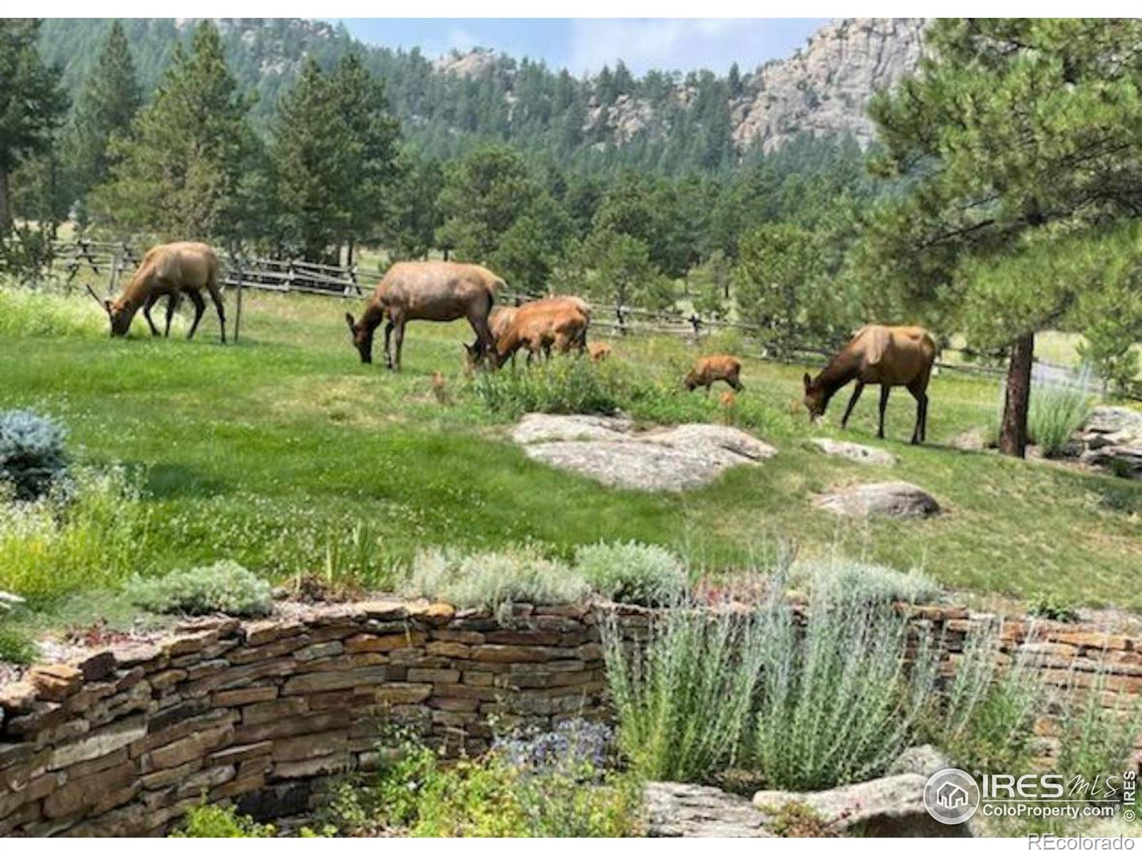MLS Image #39 for 6056  stone creek drive,evergreen, Colorado