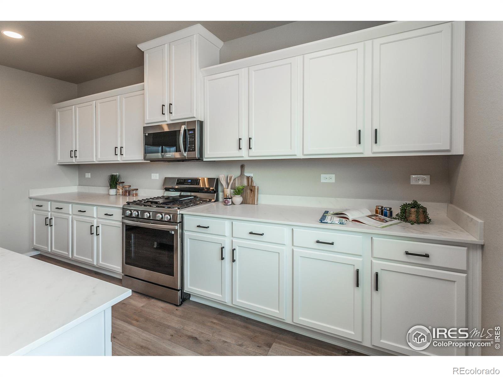 MLS Image #11 for 1620  sunflower way,johnstown, Colorado