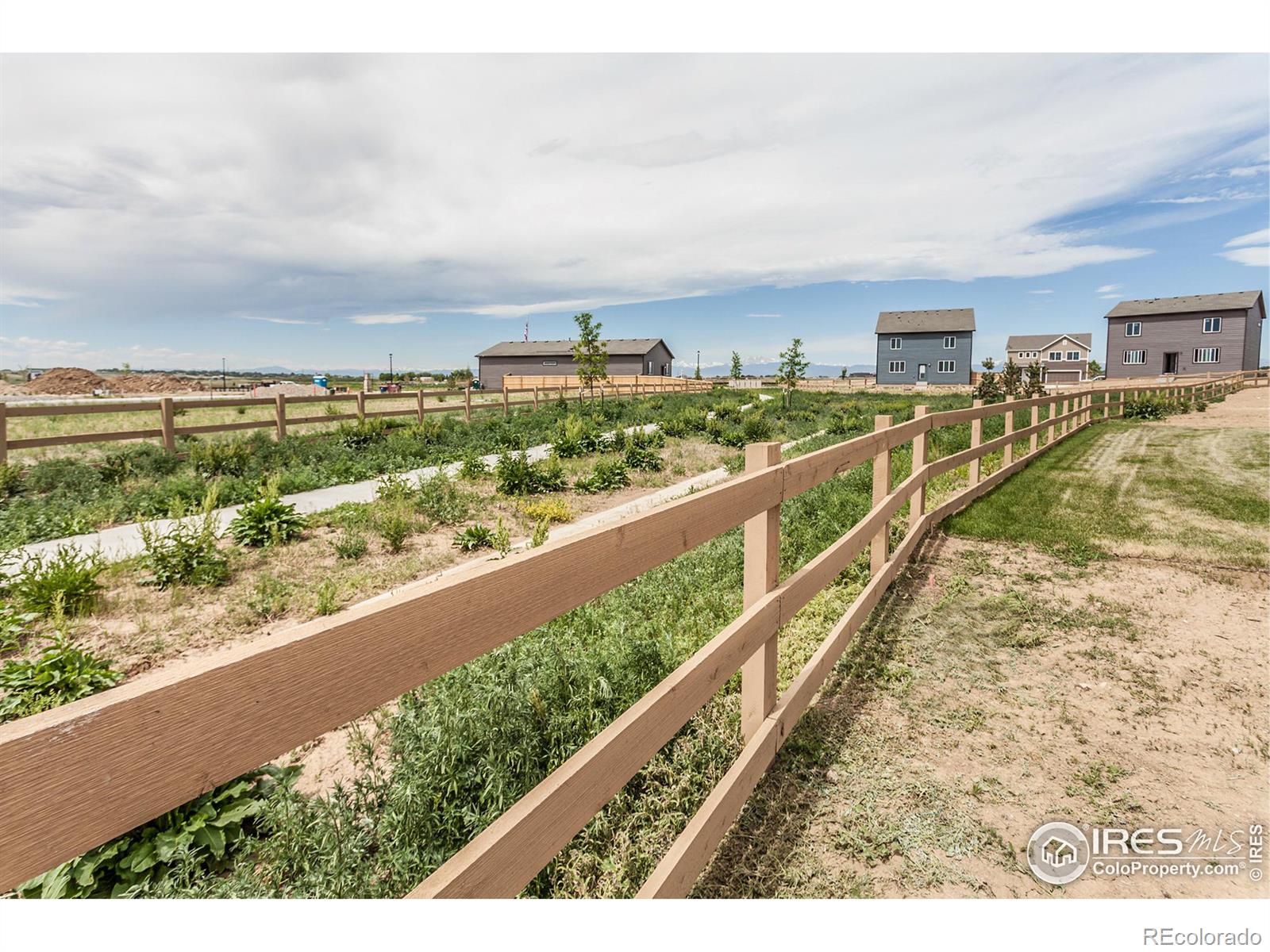 MLS Image #34 for 1620  sunflower way,johnstown, Colorado