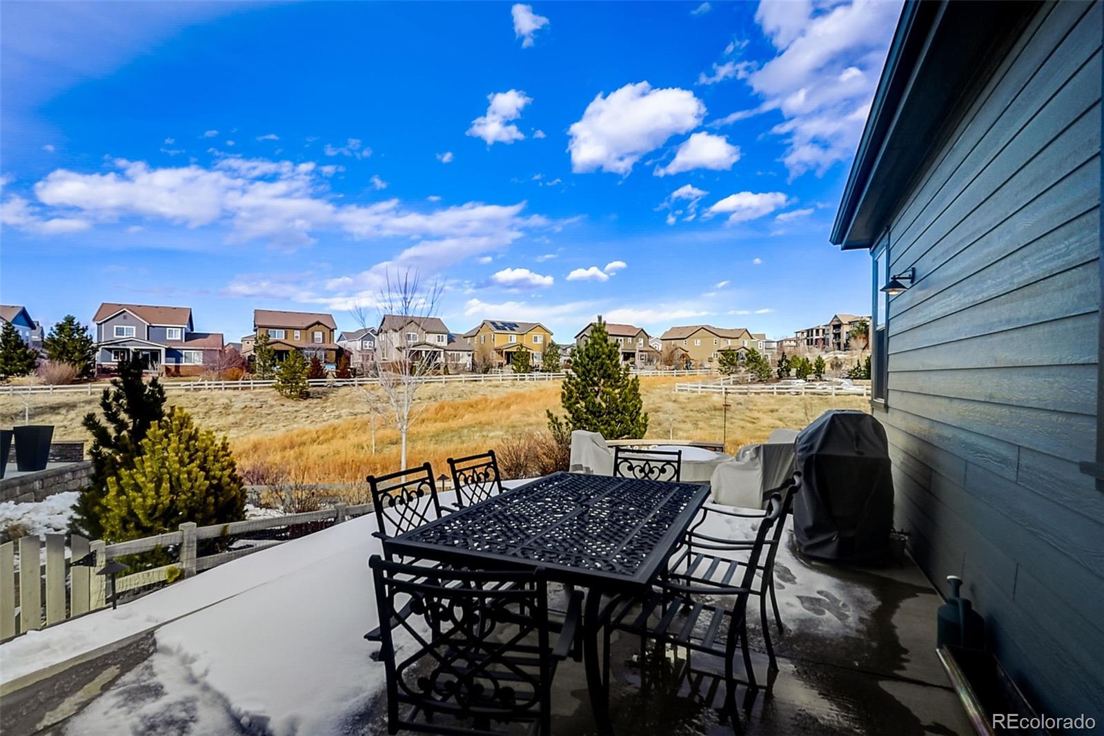 MLS Image #26 for 615  red spruce drive,highlands ranch, Colorado