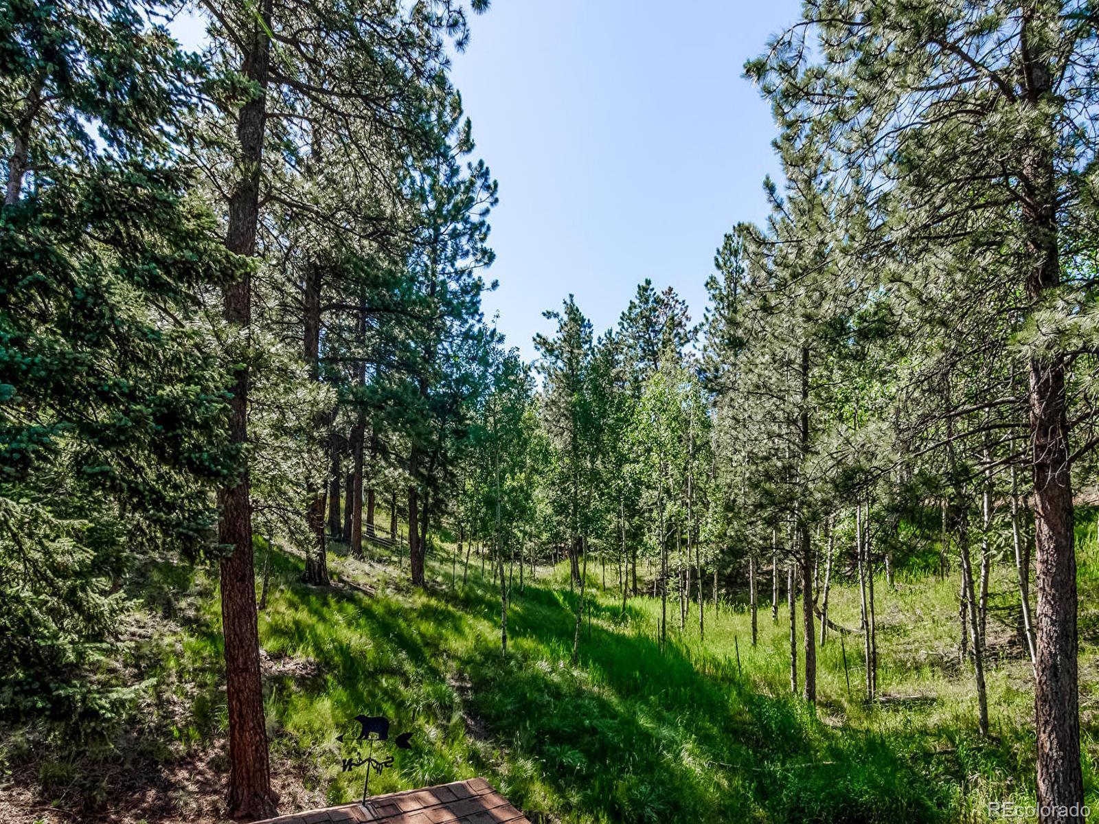 MLS Image #40 for 167  sleepy hollow drive,bailey, Colorado