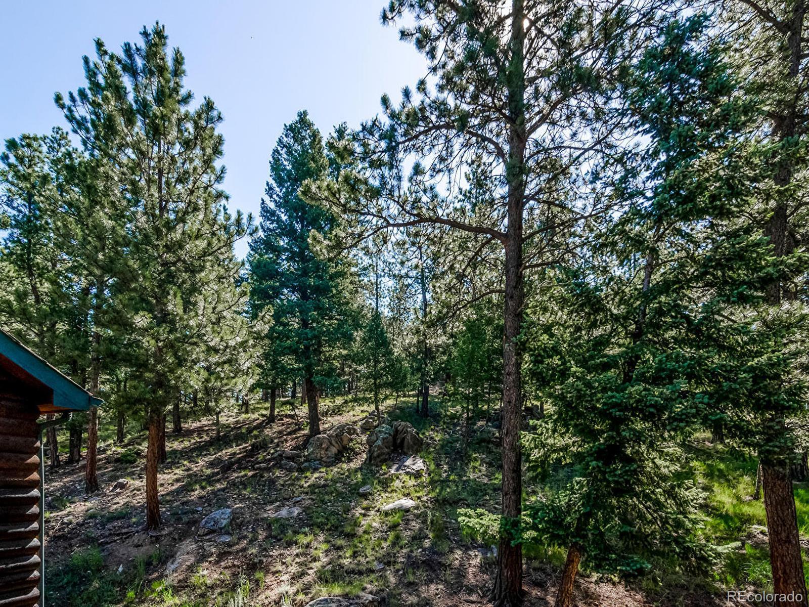 MLS Image #41 for 167  sleepy hollow drive,bailey, Colorado