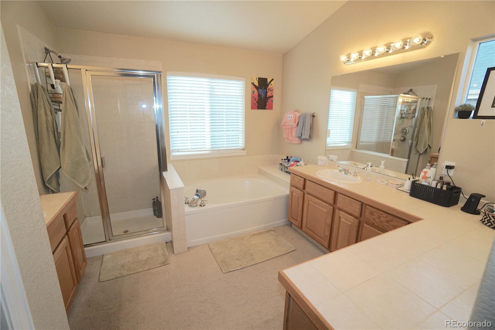 MLS Image #19 for 12448  james court,broomfield, Colorado