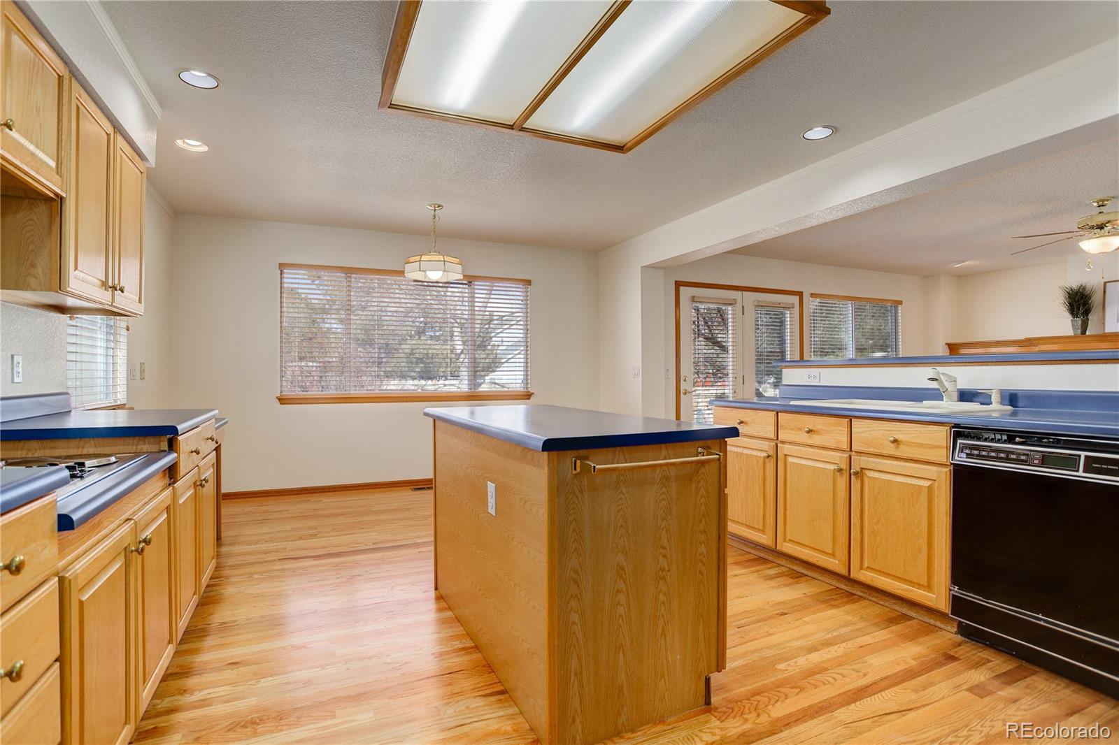 MLS Image #8 for 16915  molina place,parker, Colorado
