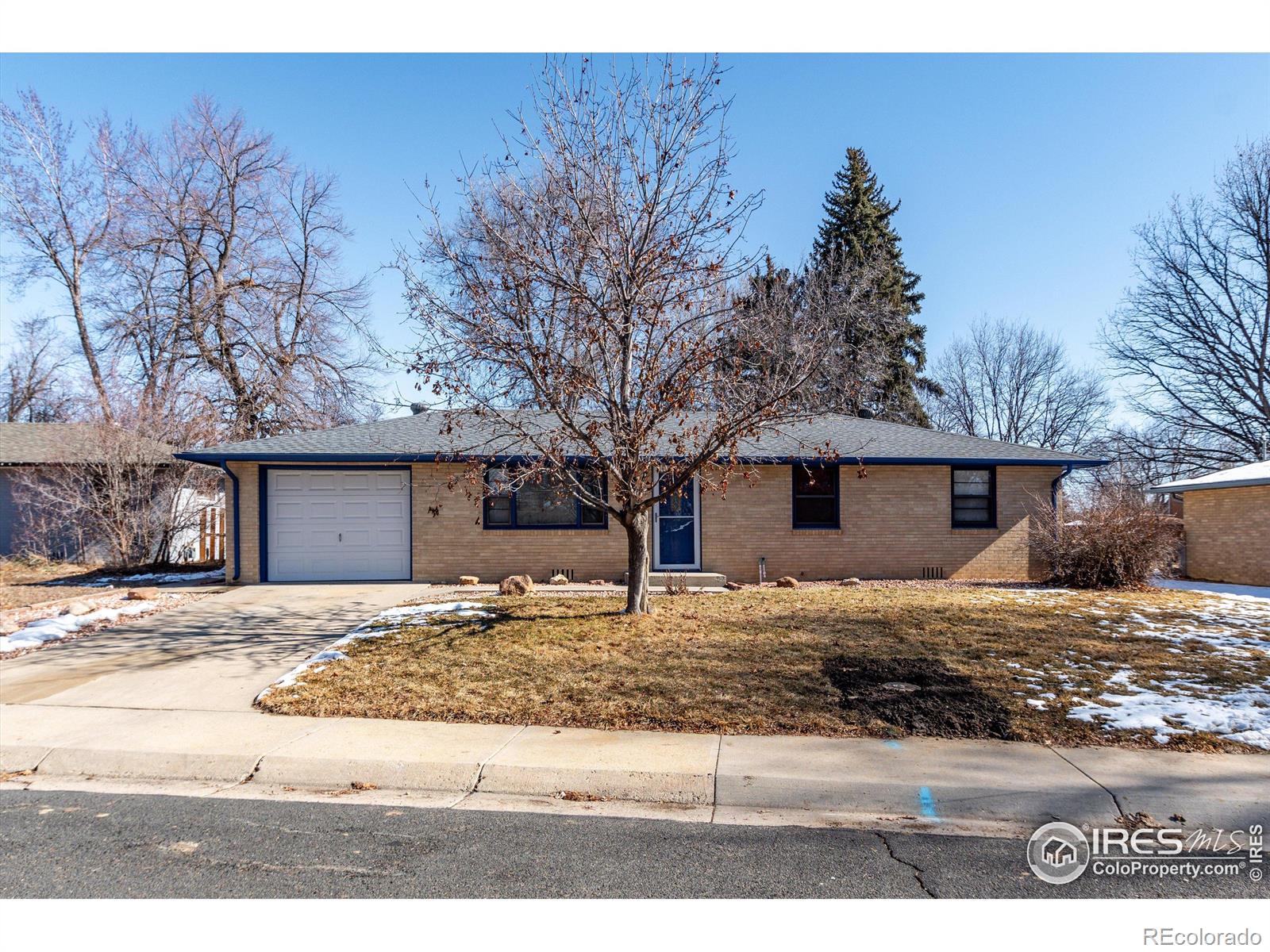 MLS Image #2 for 1212  aspen street,longmont, Colorado