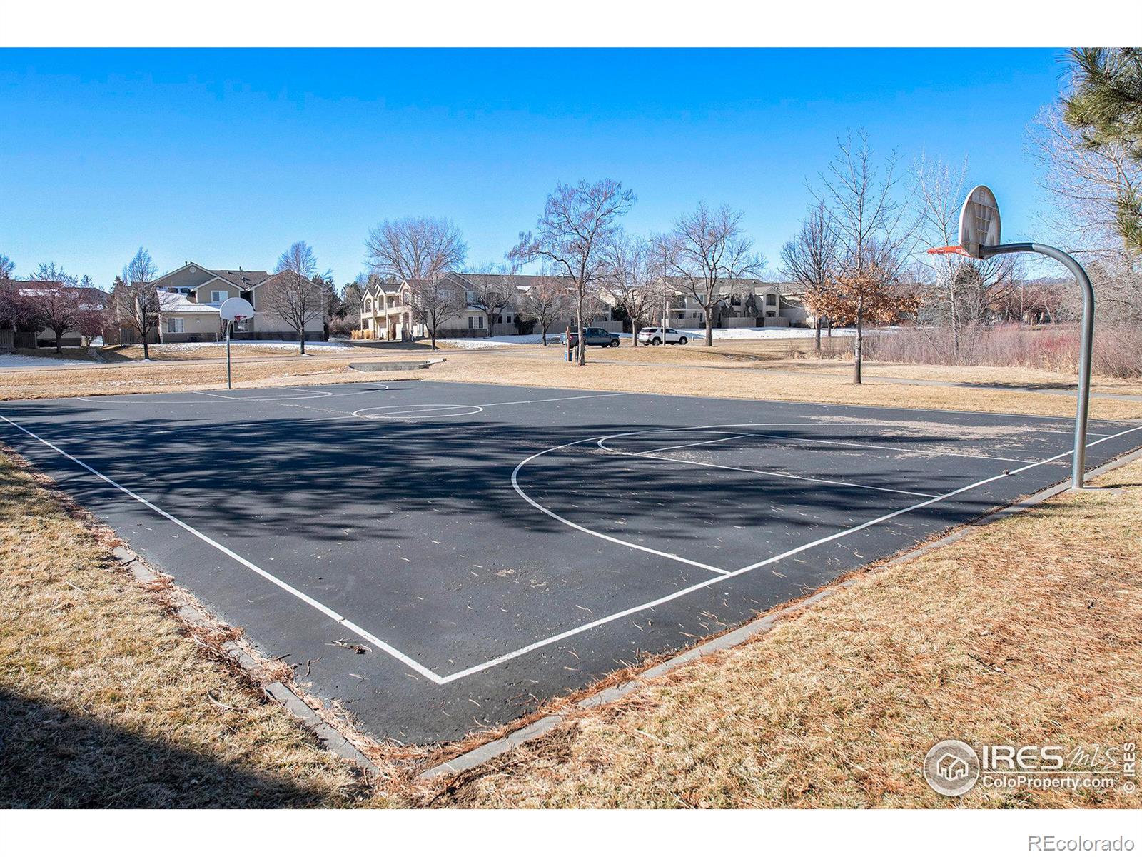 MLS Image #15 for 5220  boardwalk drive,fort collins, Colorado