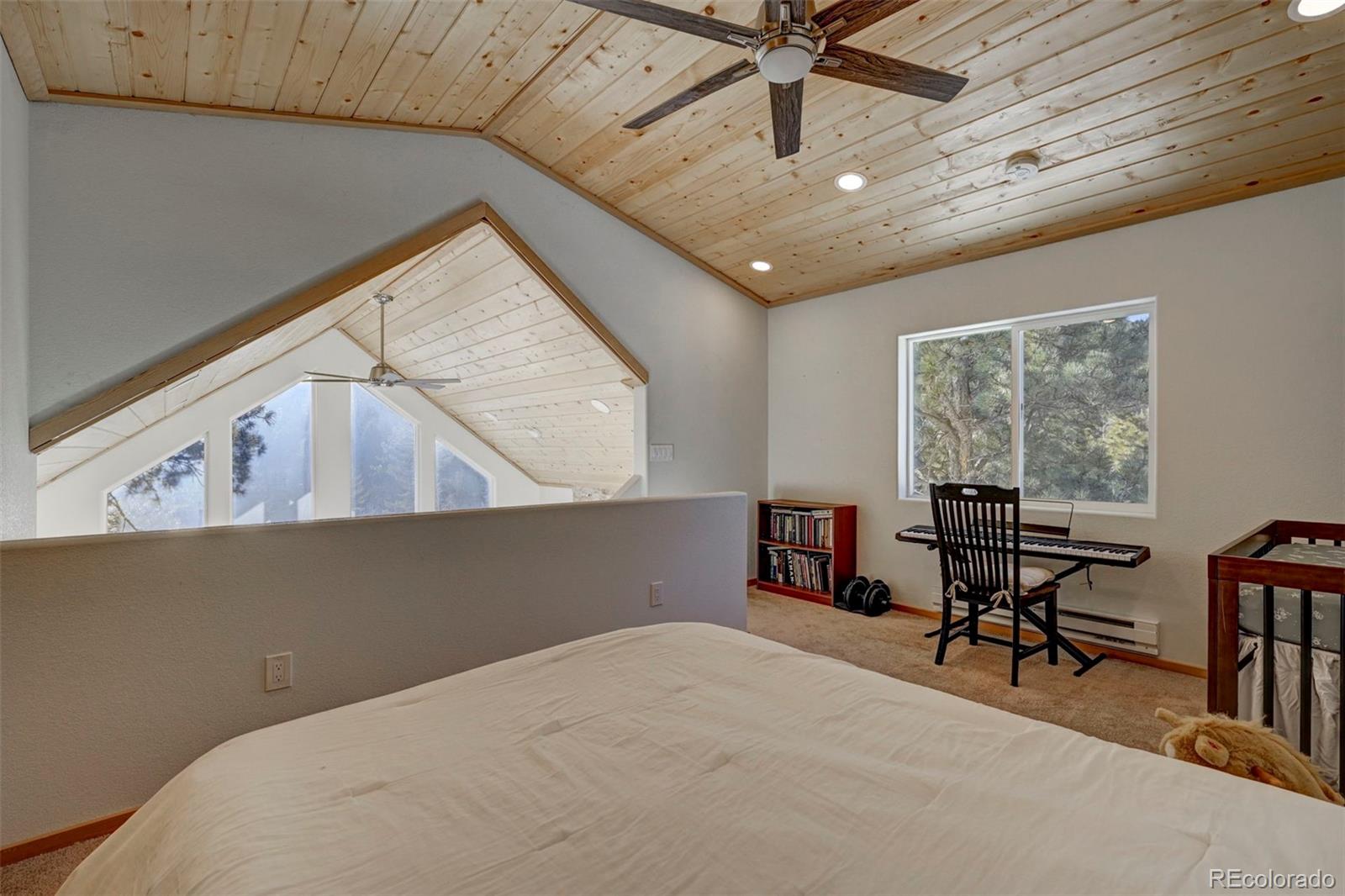 MLS Image #21 for 46  joseph road,woodland park, Colorado