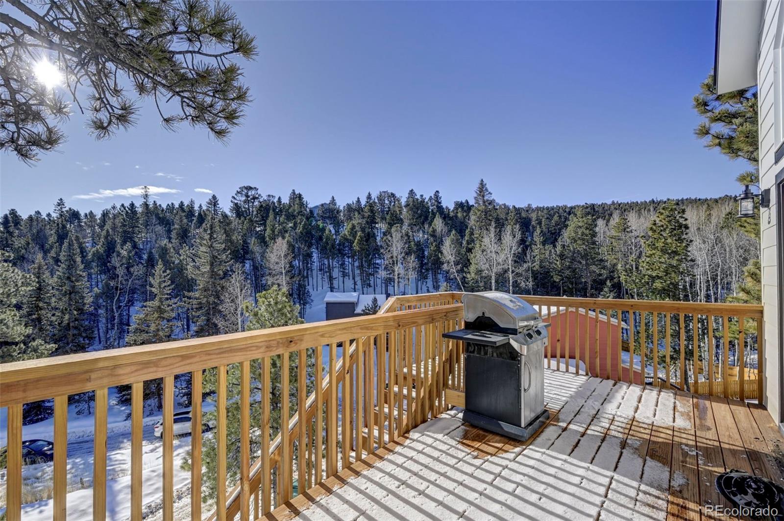 MLS Image #5 for 46  joseph road,woodland park, Colorado