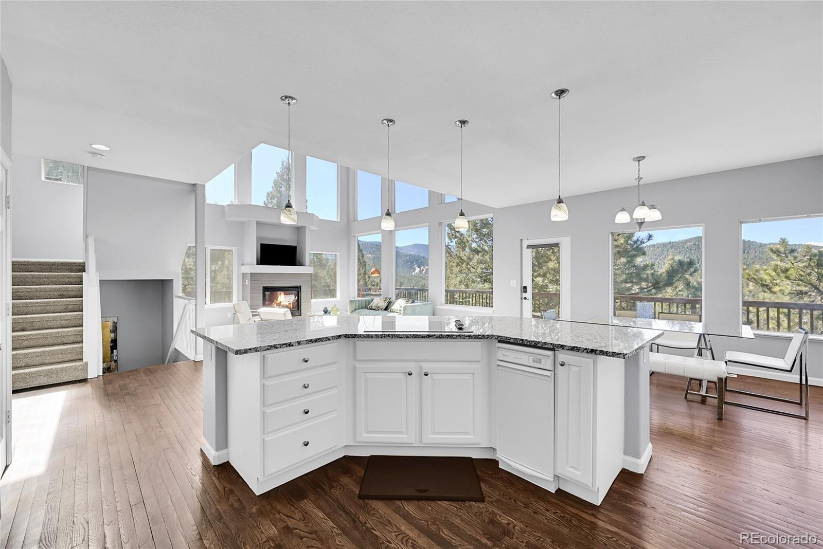 MLS Image #16 for 29581  falcon ridge drive,evergreen, Colorado