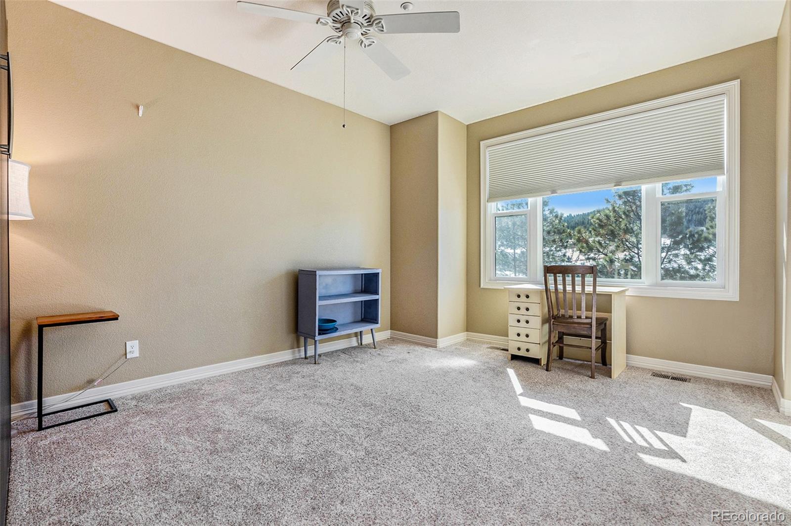 MLS Image #21 for 4618  high spring road,castle rock, Colorado