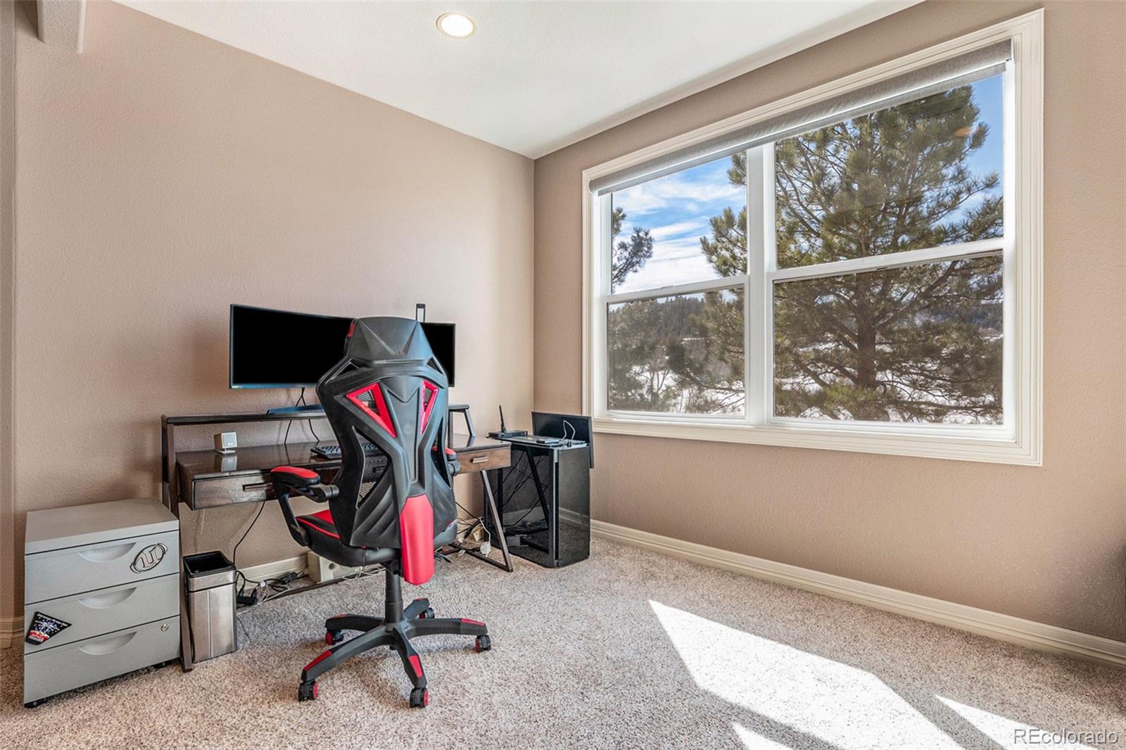 MLS Image #31 for 4618  high spring road,castle rock, Colorado