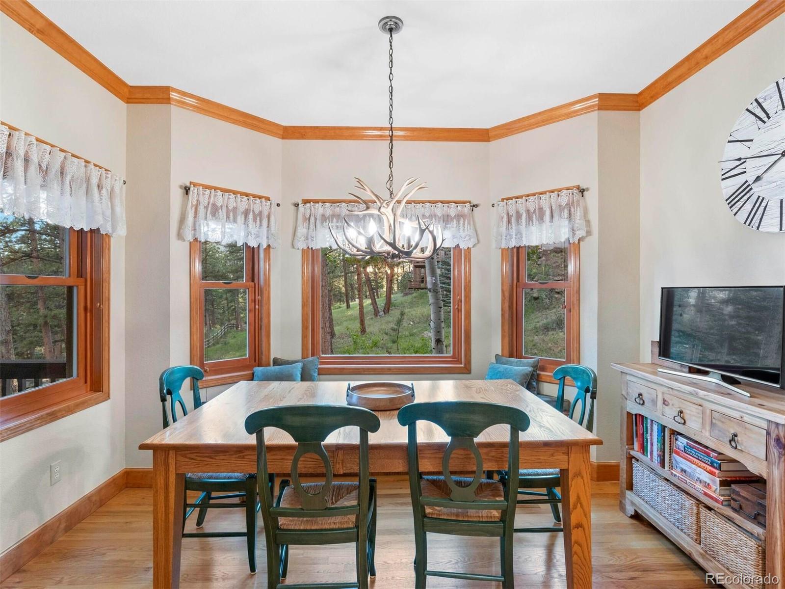 MLS Image #16 for 30032  troutdale ridge road,evergreen, Colorado