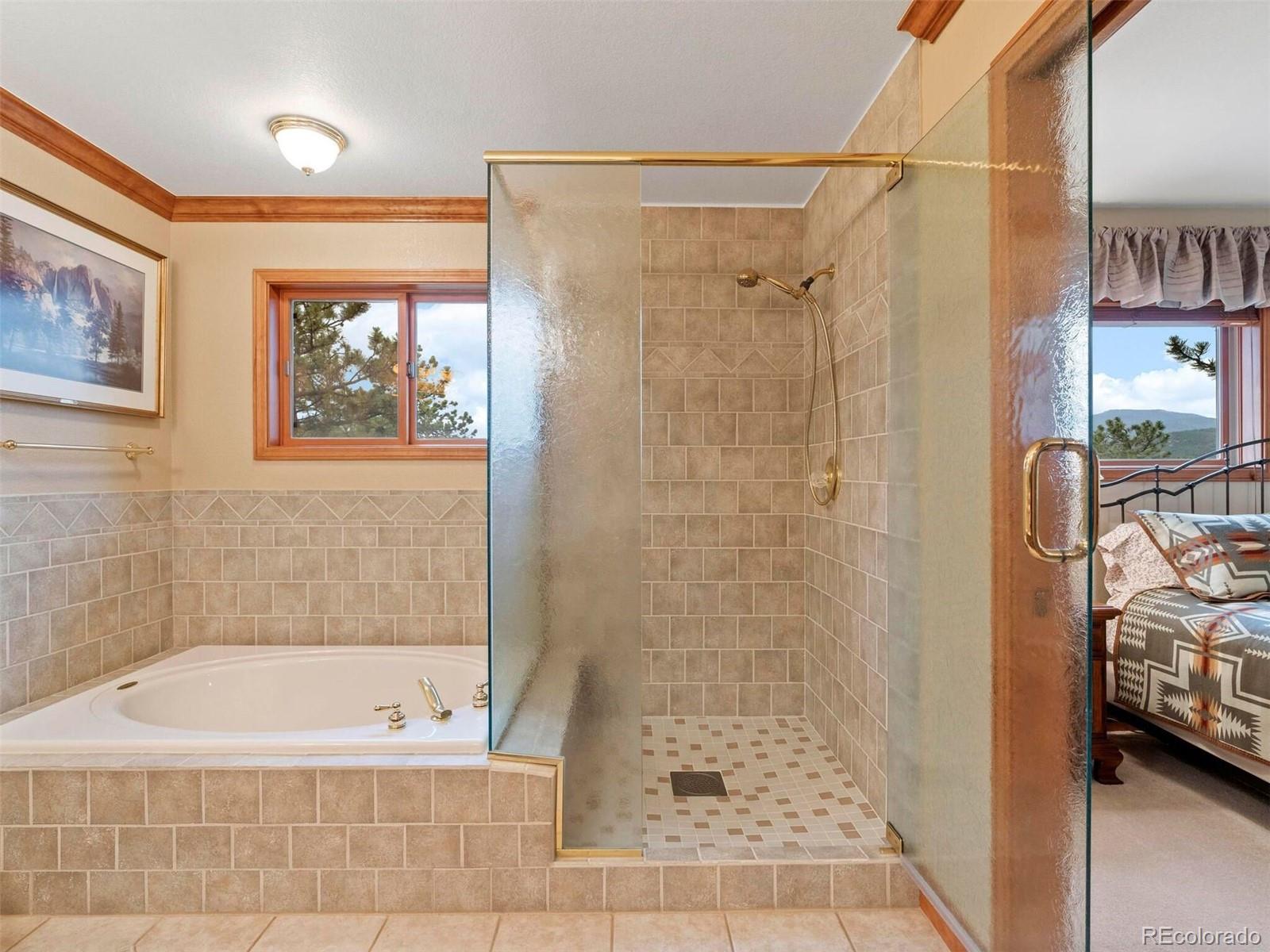 MLS Image #21 for 30032  troutdale ridge road,evergreen, Colorado