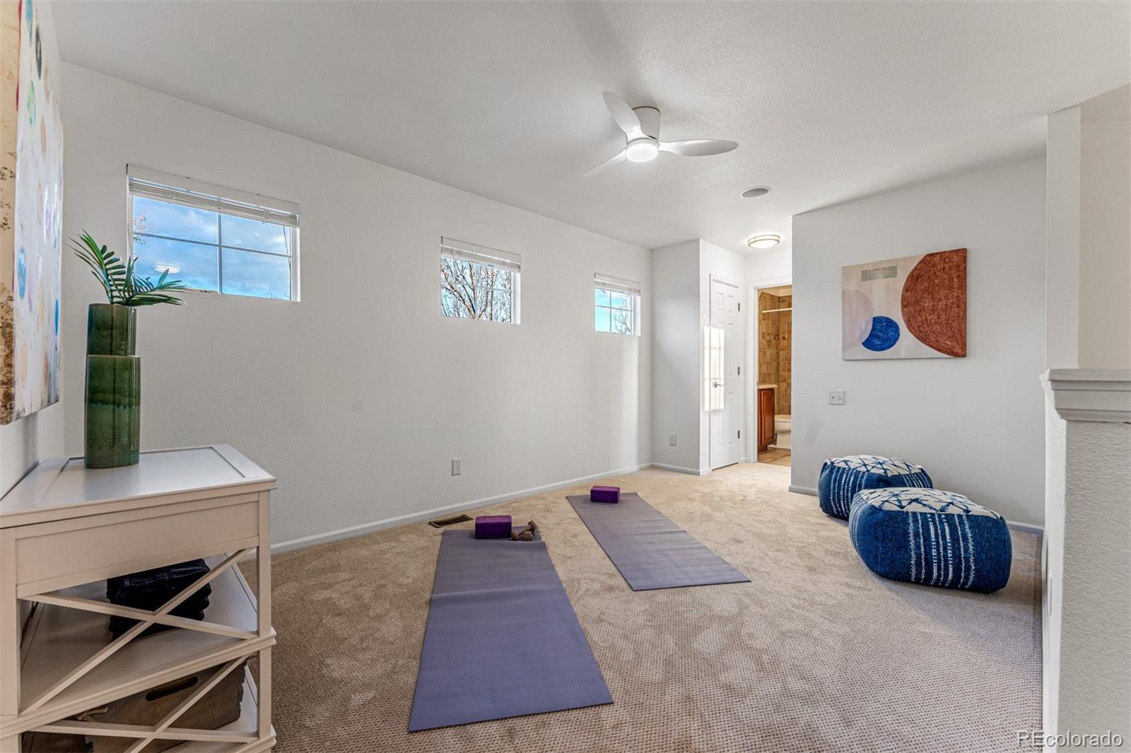 MLS Image #17 for 1042  spruce street,denver, Colorado