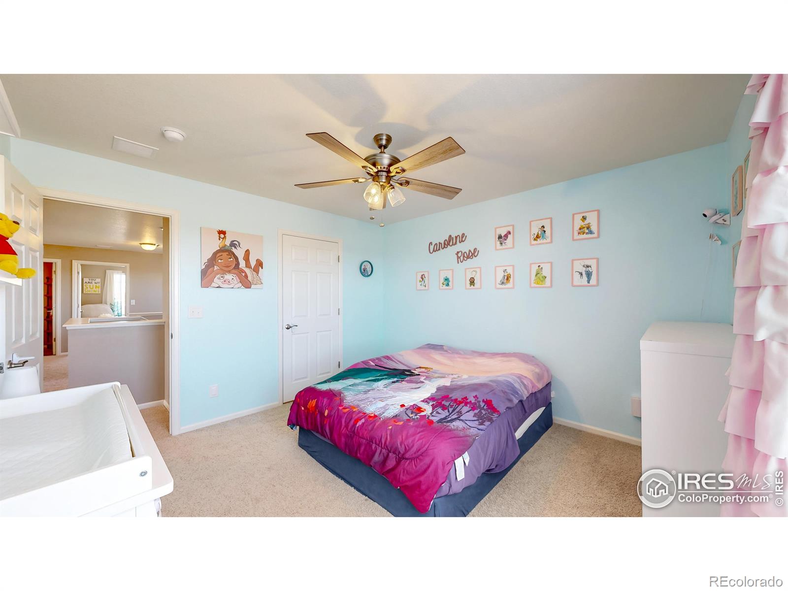 MLS Image #26 for 6930  grainery court,timnath, Colorado