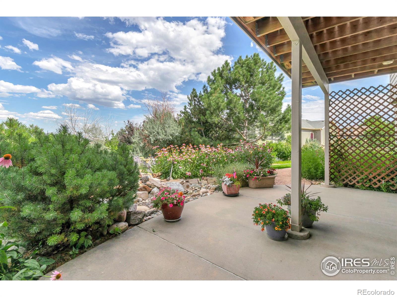 MLS Image #30 for 1214  catalpa place,fort collins, Colorado