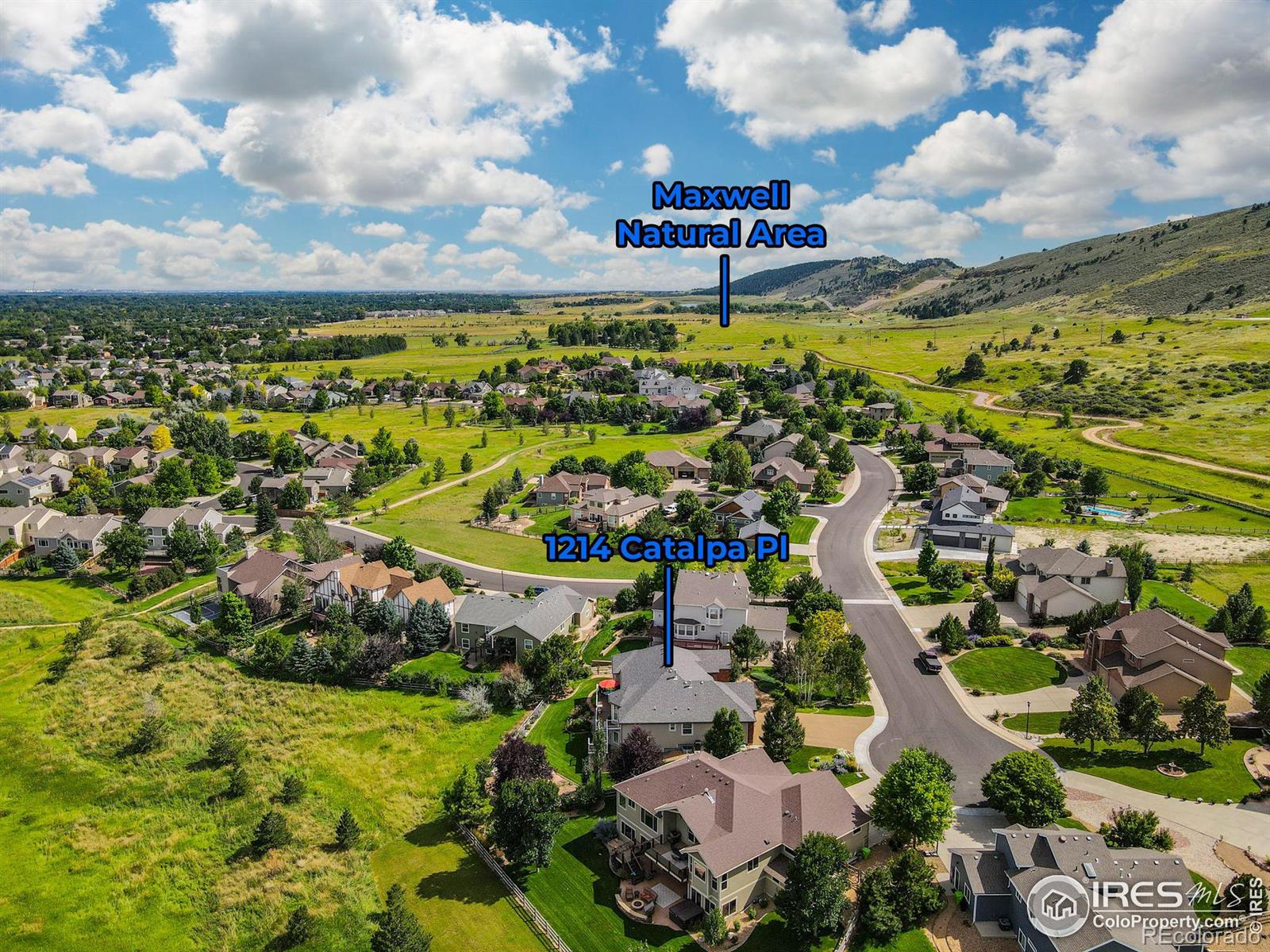 MLS Image #36 for 1214  catalpa place,fort collins, Colorado