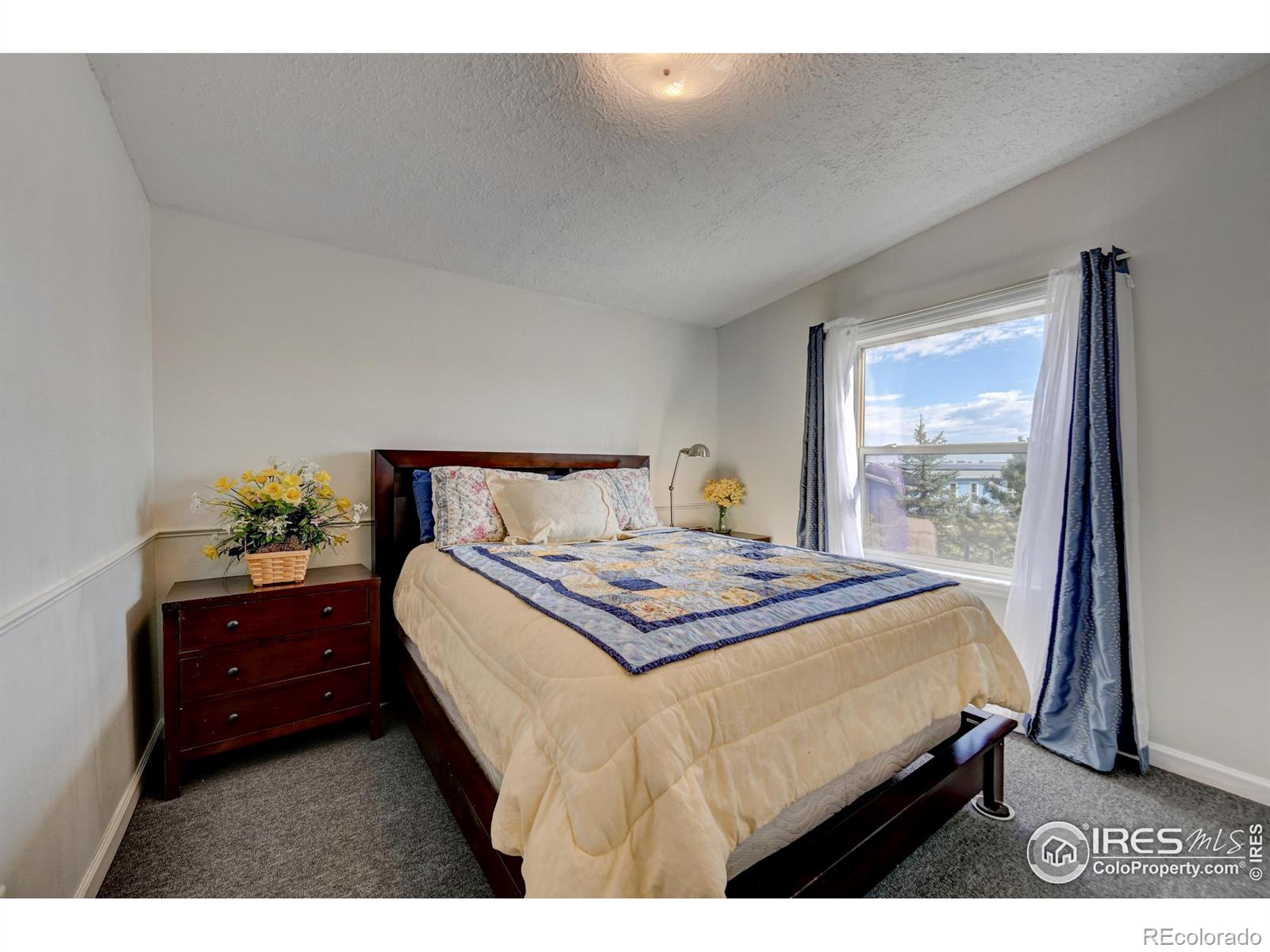 MLS Image #22 for 34115  goldenrod circle,kiowa, Colorado