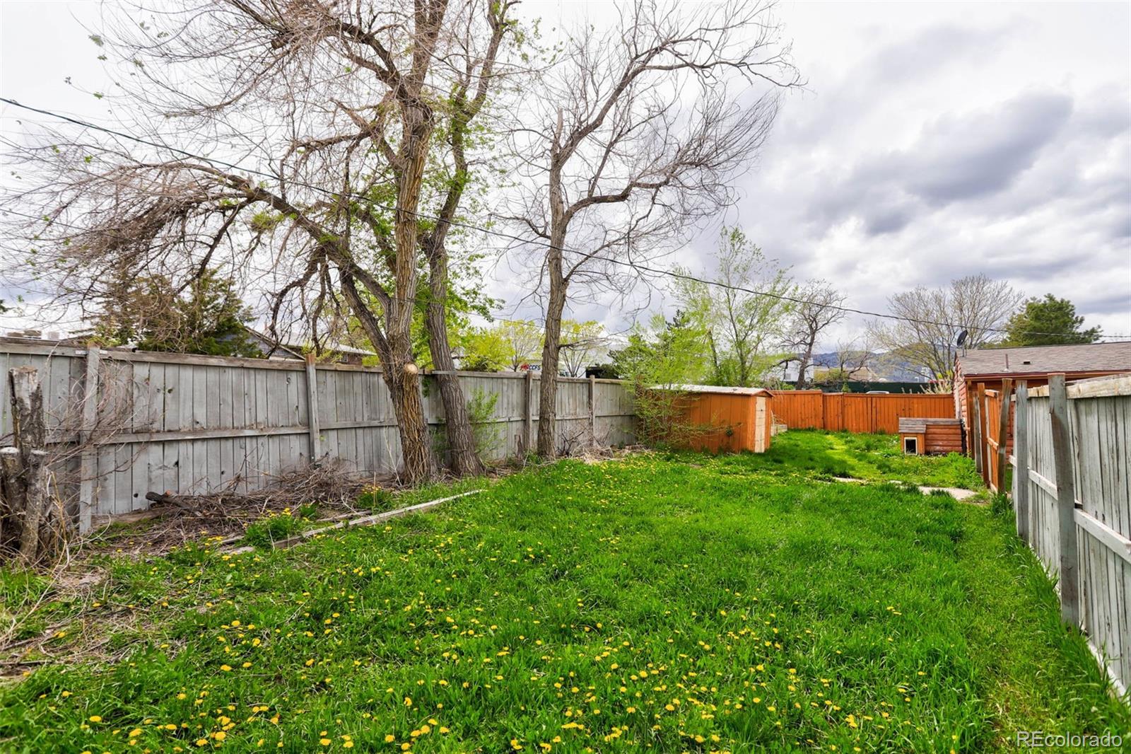 MLS Image #43 for 790  poppy street,golden, Colorado