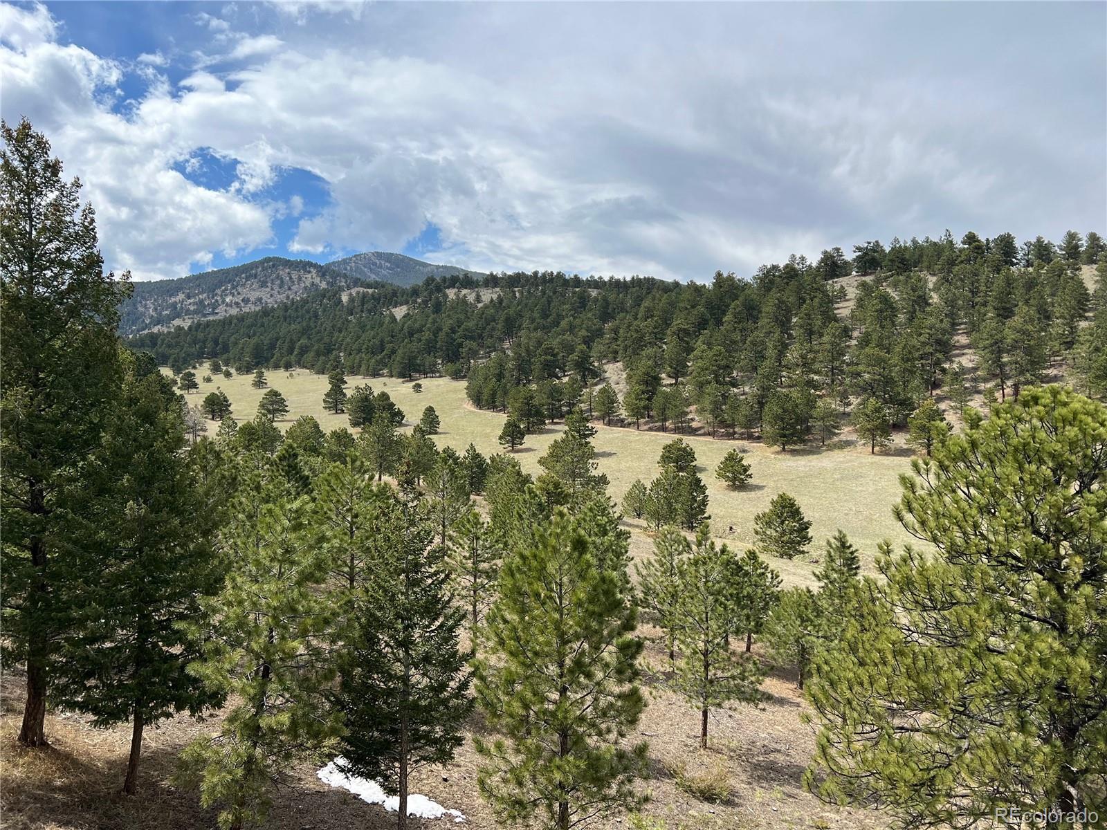 MLS Image #44 for 3689  heatherwood way,evergreen, Colorado