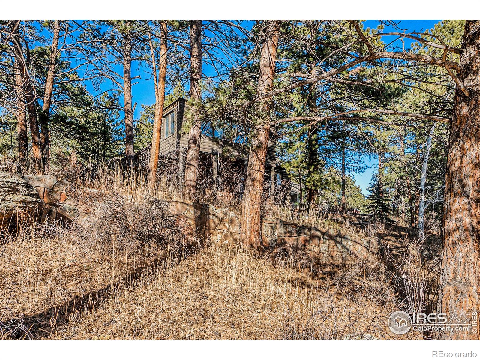 MLS Image #12 for 611  macgregor avenue,estes park, Colorado