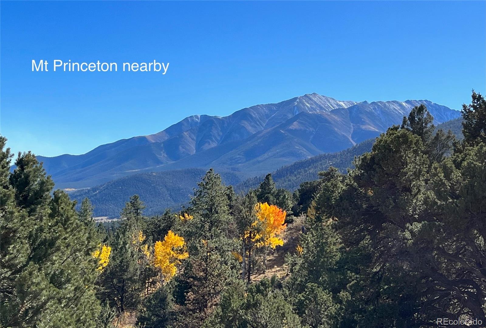 MLS Image #22 for 30267  princeton hills,buena vista, Colorado