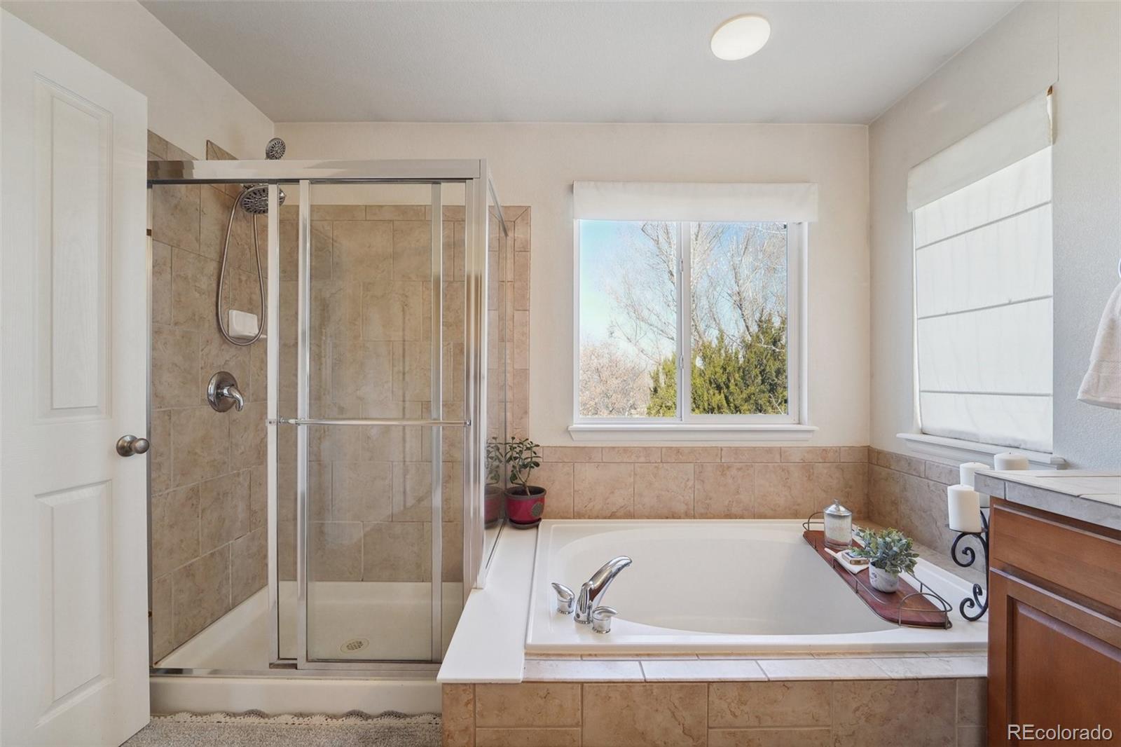 MLS Image #26 for 279  bristlecone street,brighton, Colorado