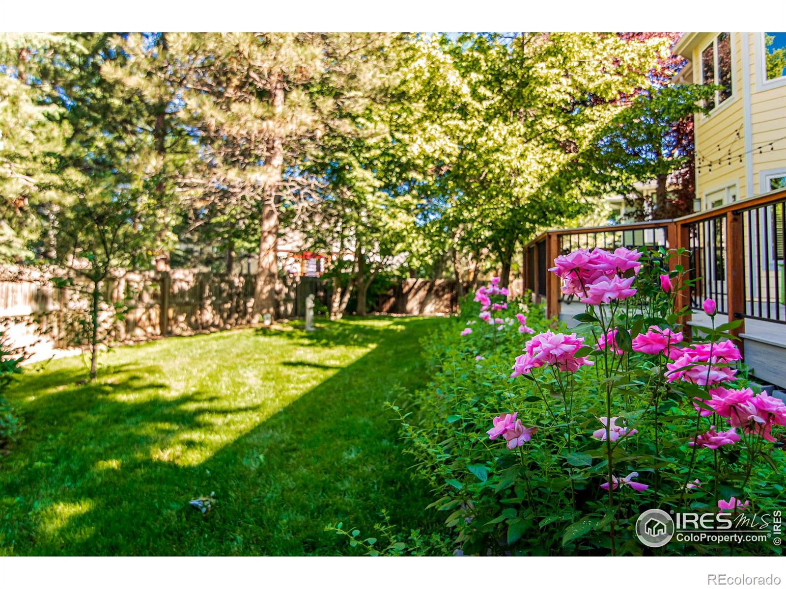 MLS Image #8 for 5237  deer creek court,boulder, Colorado