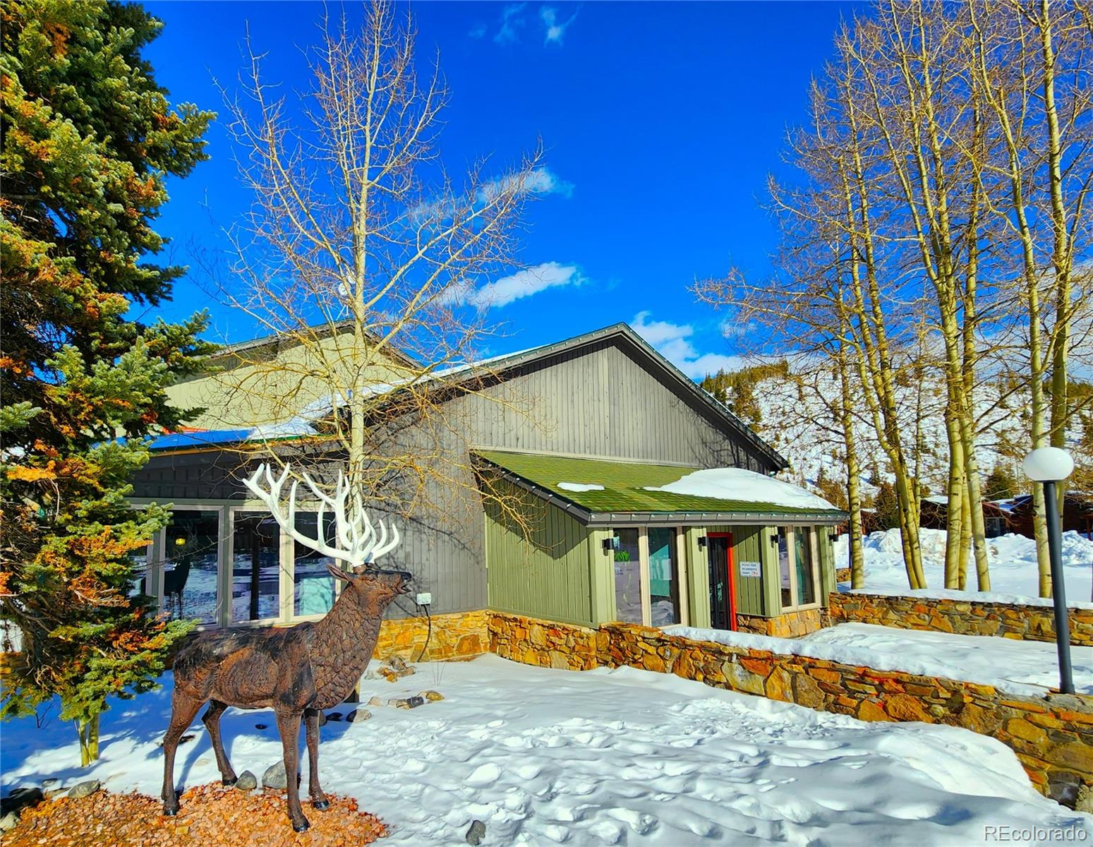 MLS Image #24 for 85  revett drive,breckenridge, Colorado